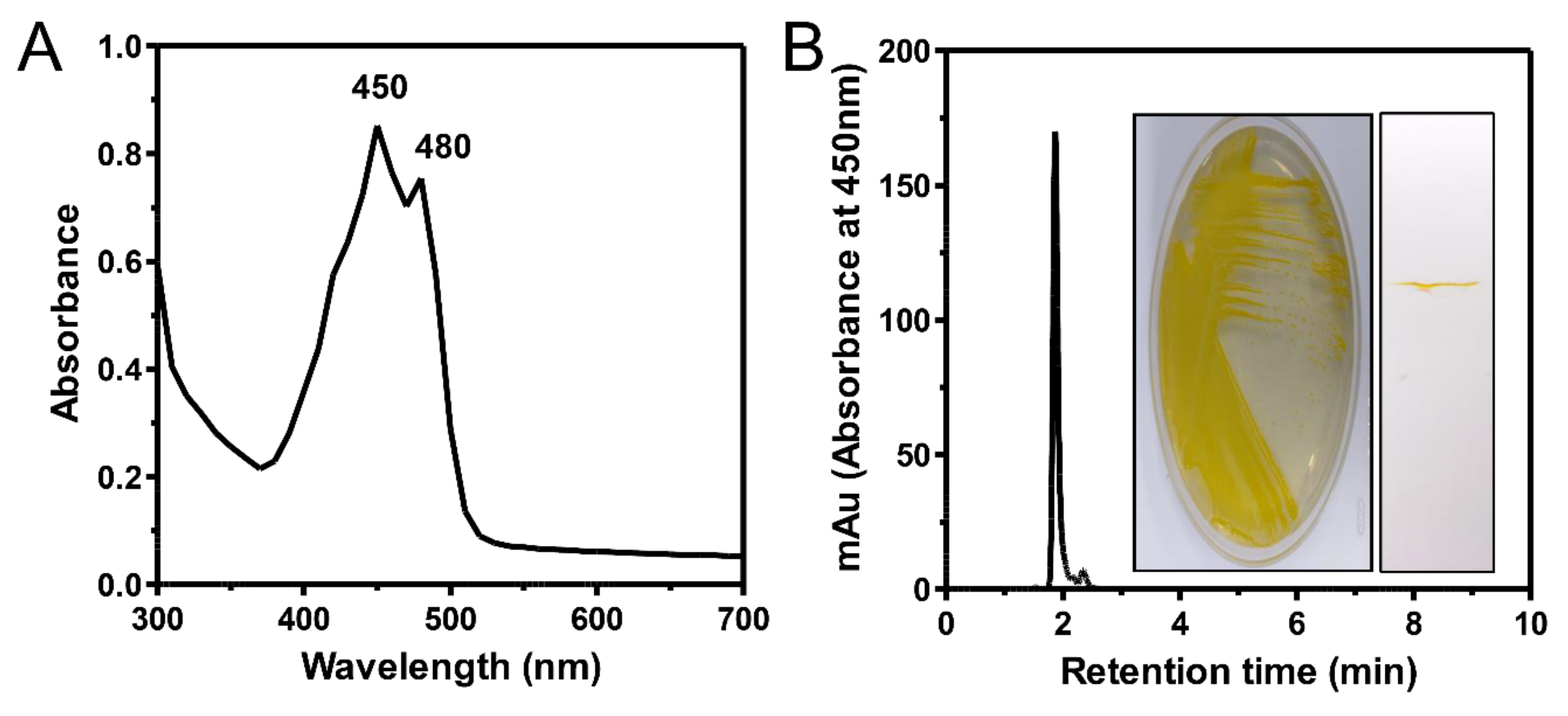 Marinedrugs 20 00073 g002