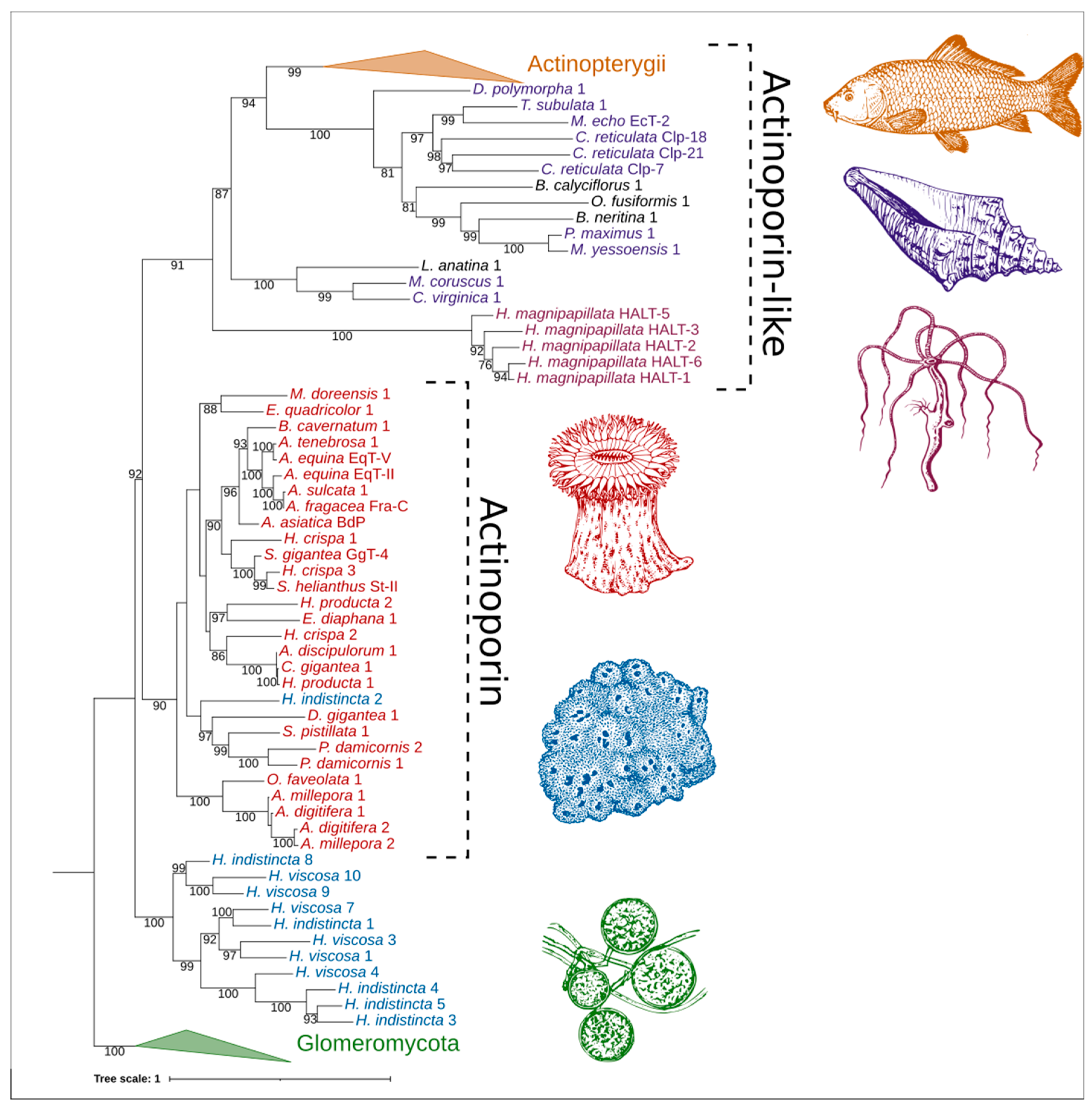 Marinedrugs 20 00074 g005 550