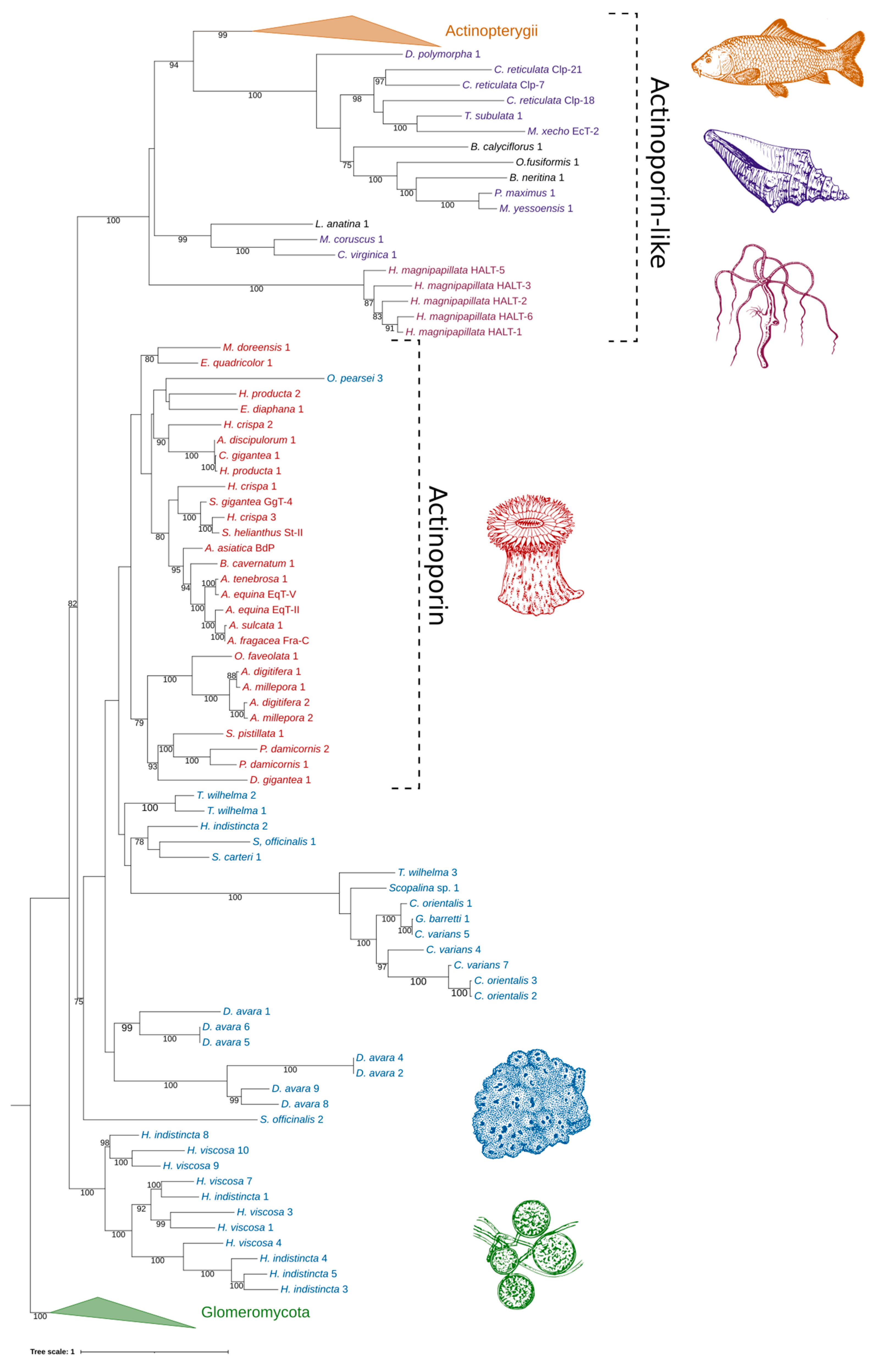Marinedrugs 20 00074 g006 550