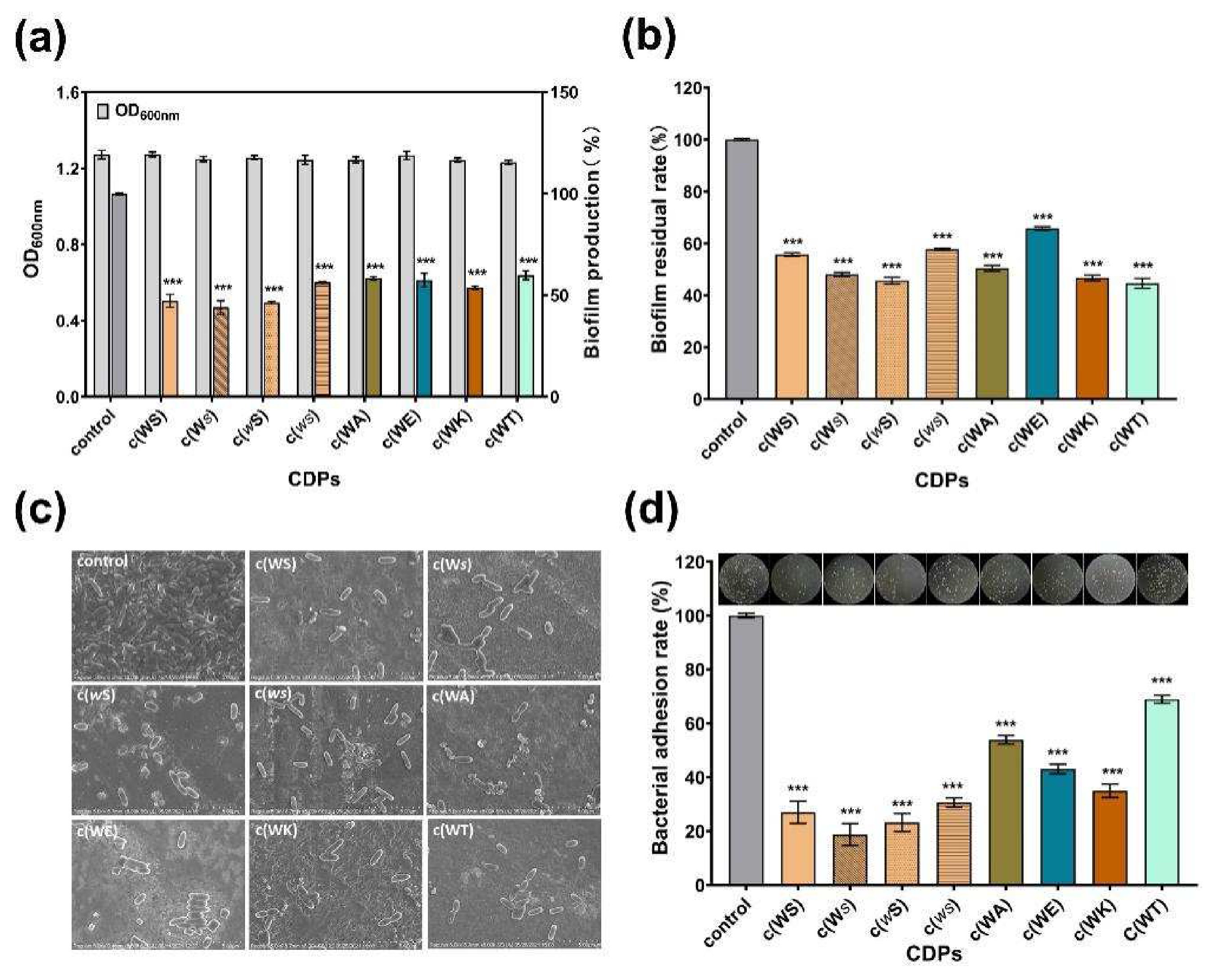 Marinedrugs 20 00085 g005 550