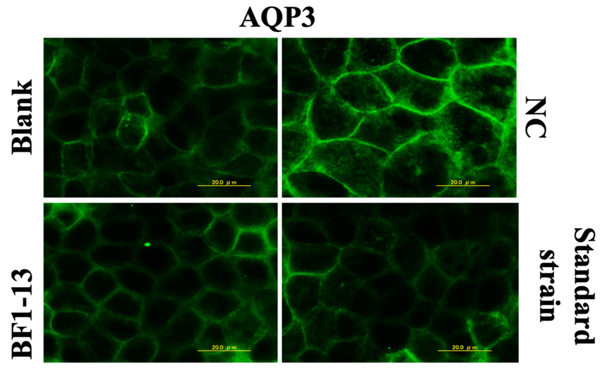 Marinedrugs 20 00087 g005 550