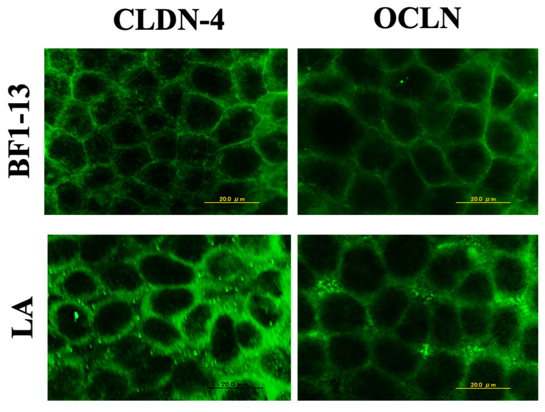 Marinedrugs 20 00087 g008 550