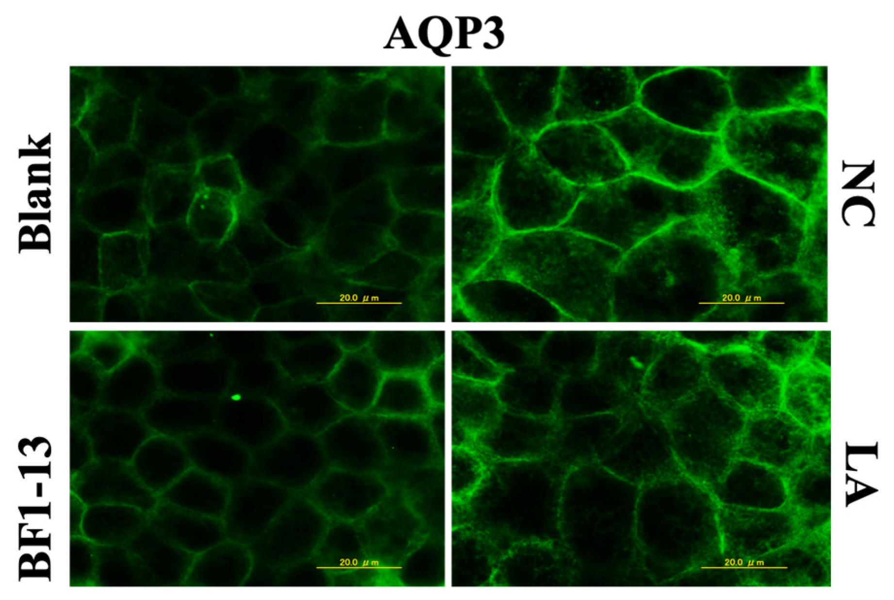 Marinedrugs 20 00087 g010 550