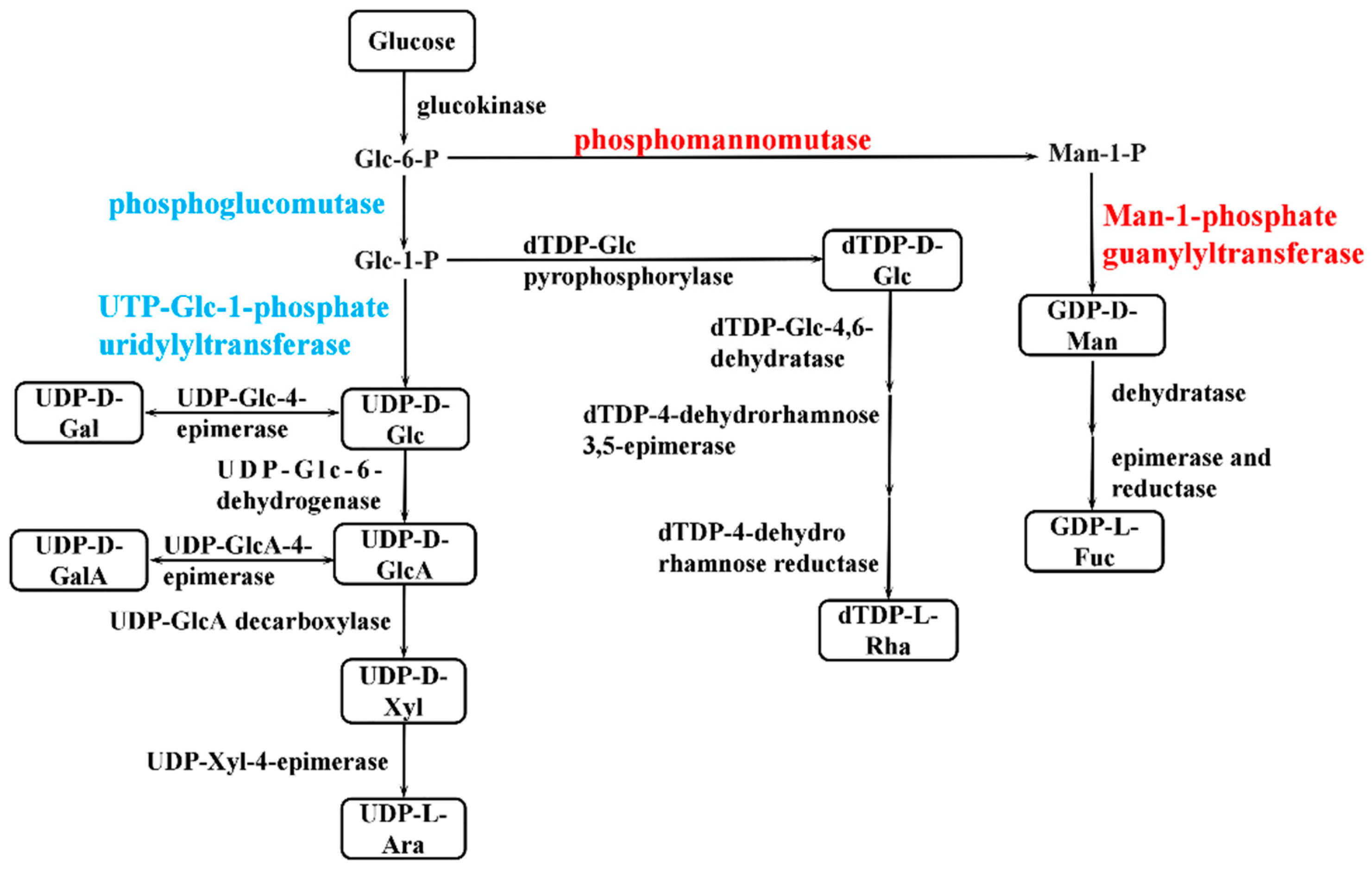 Marinedrugs 20 00089 g007 Marinedrugs 20 00089 g007