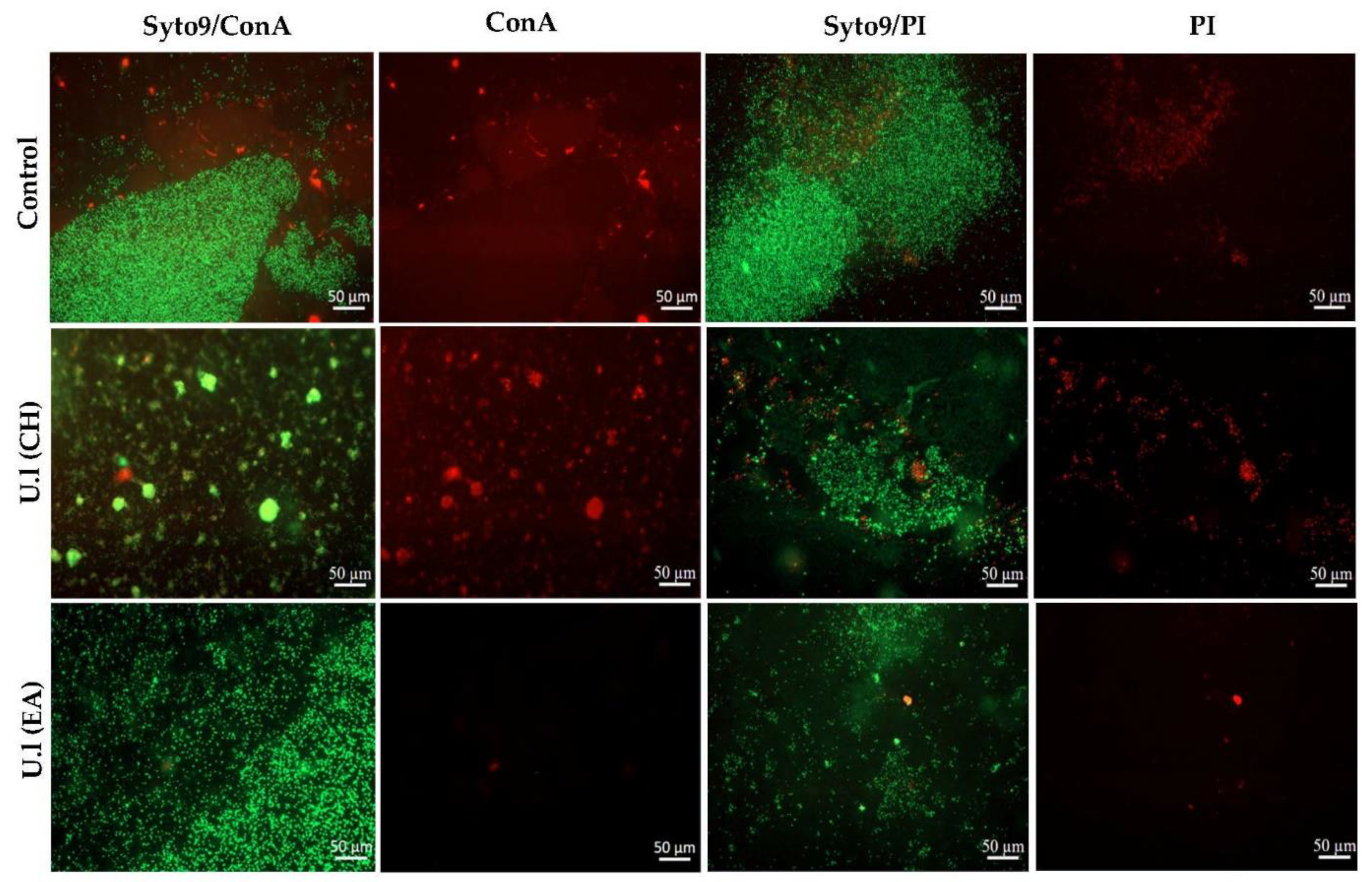 Marinedrugs 20 00092 g002