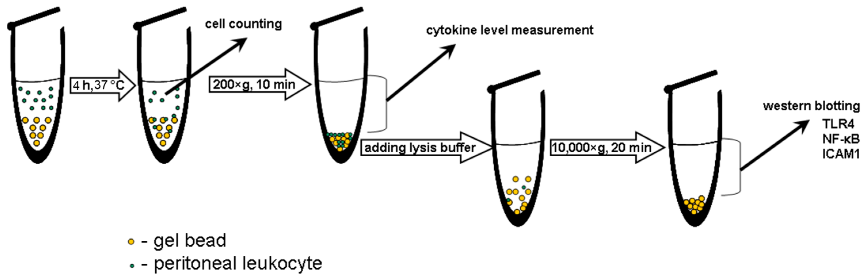 Marinedrugs 20 00094 g010