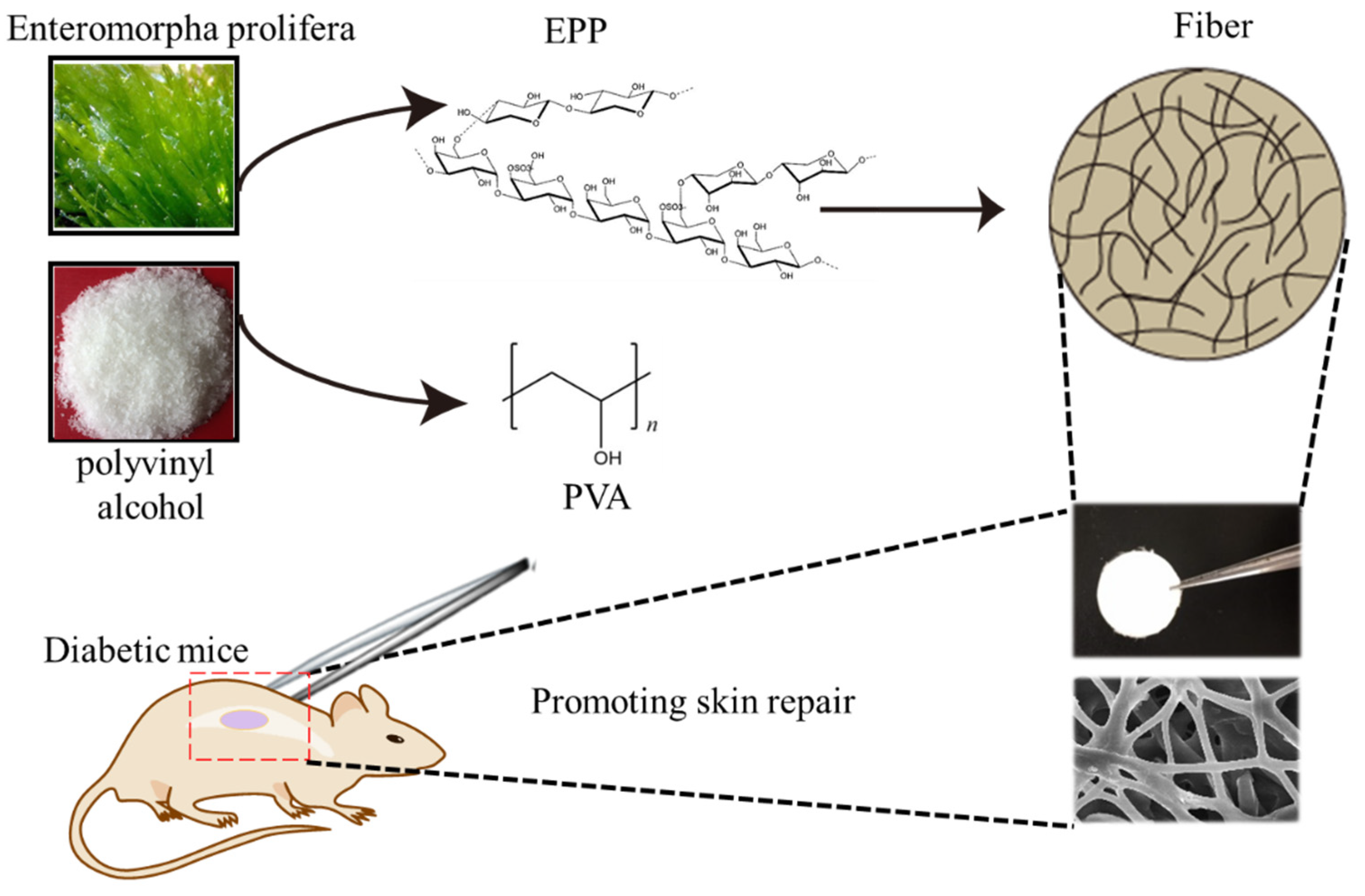Marinedrugs 20 00095 g001
