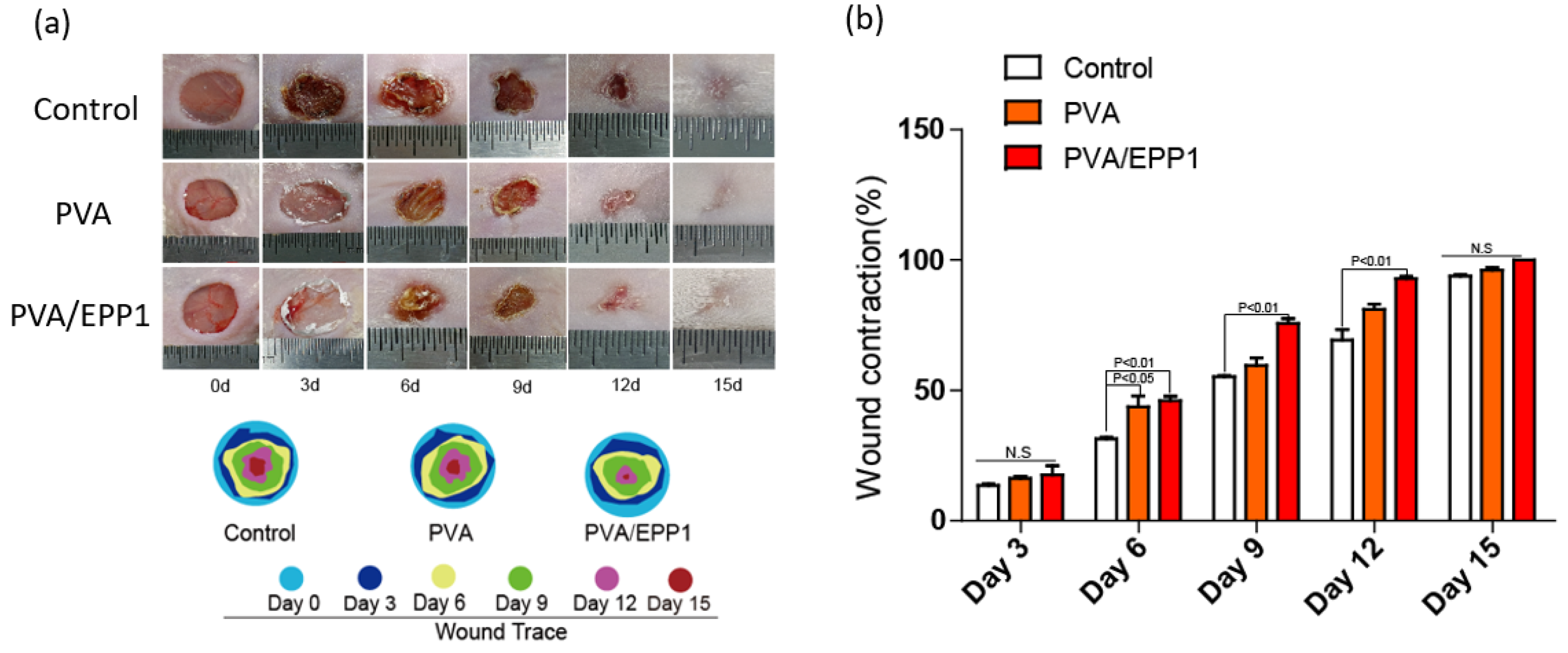 Marinedrugs 20 00095 g005