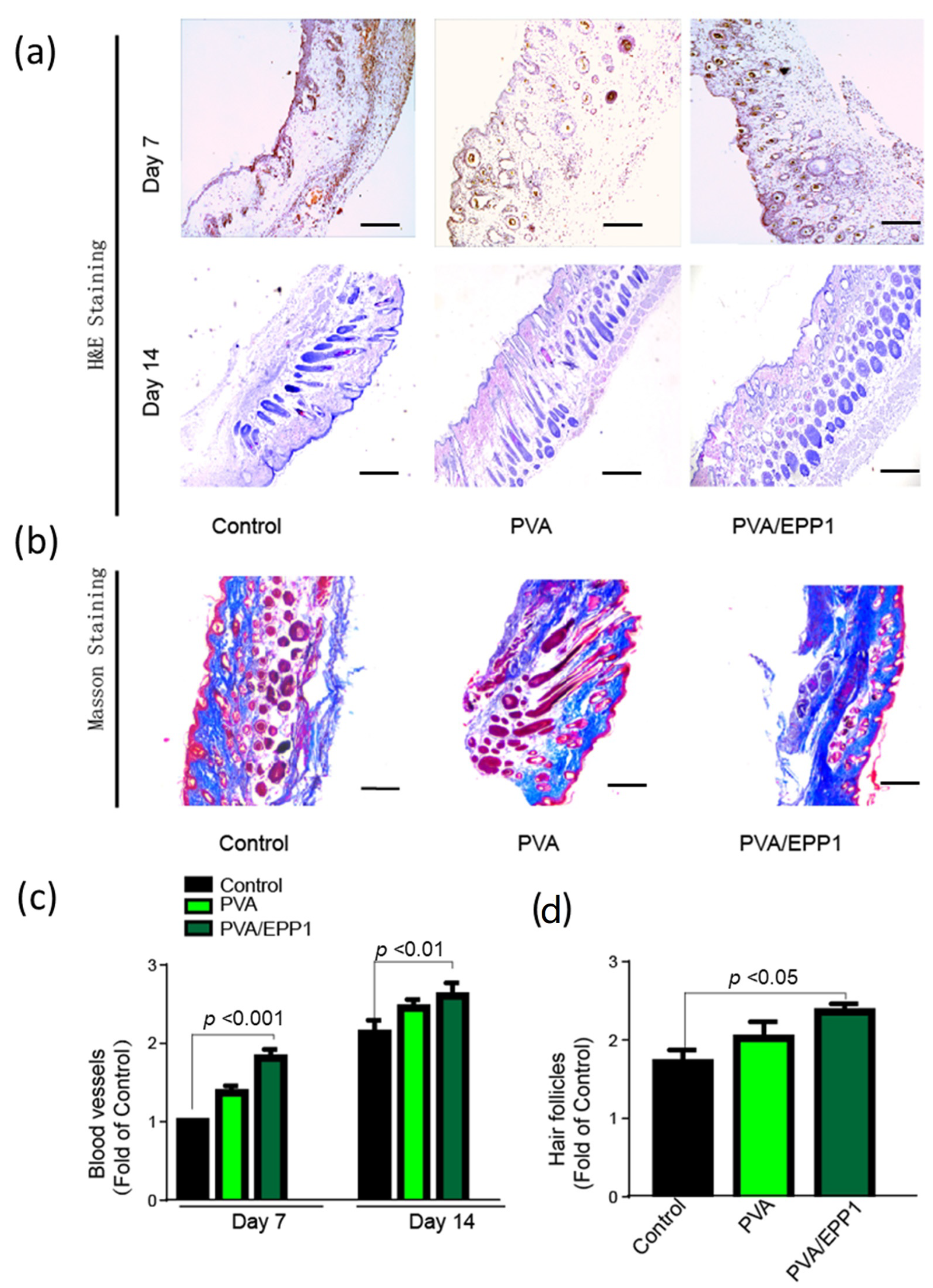 Marinedrugs 20 00095 g006