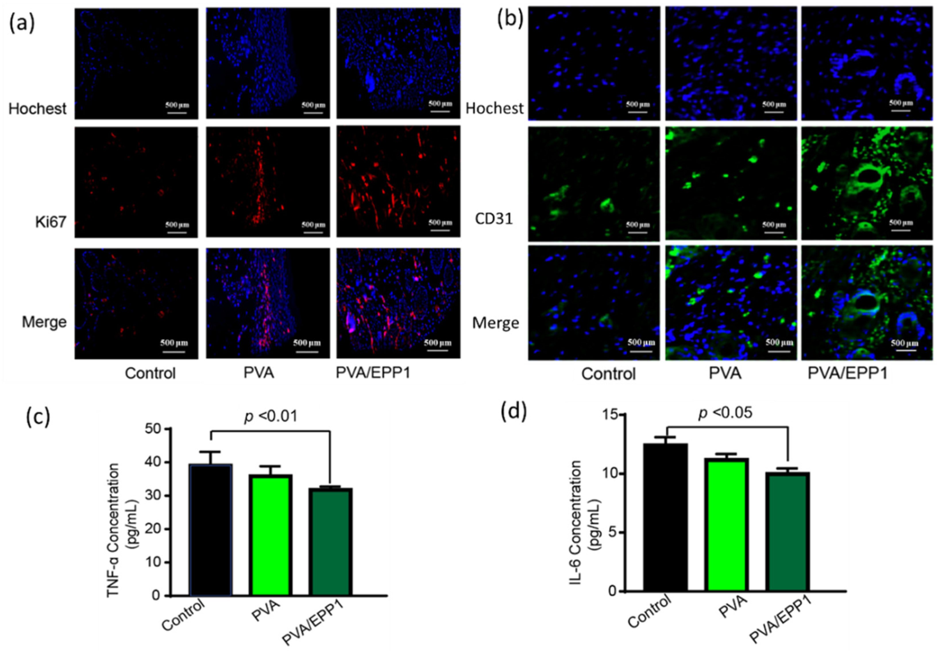 Marinedrugs 20 00095 g007