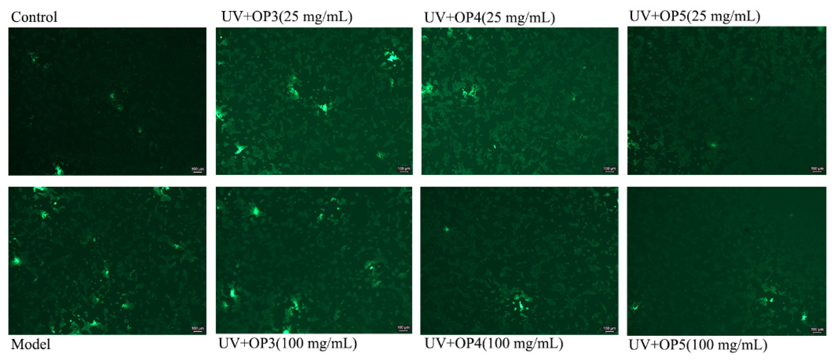 Marinedrugs 20 00100 g005