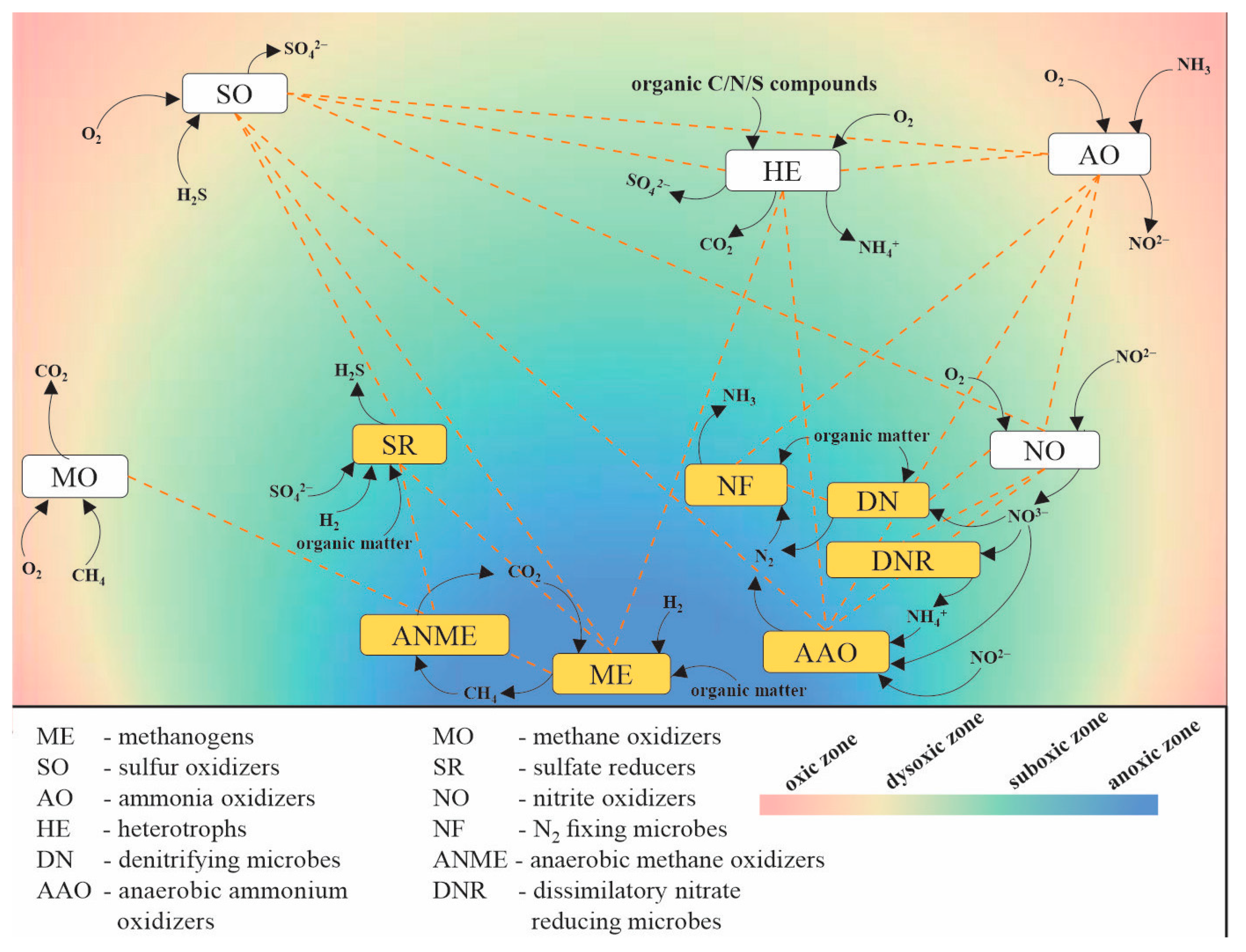 Marinedrugs 20 00108 g002 Marinedrugs 20 00108 g002