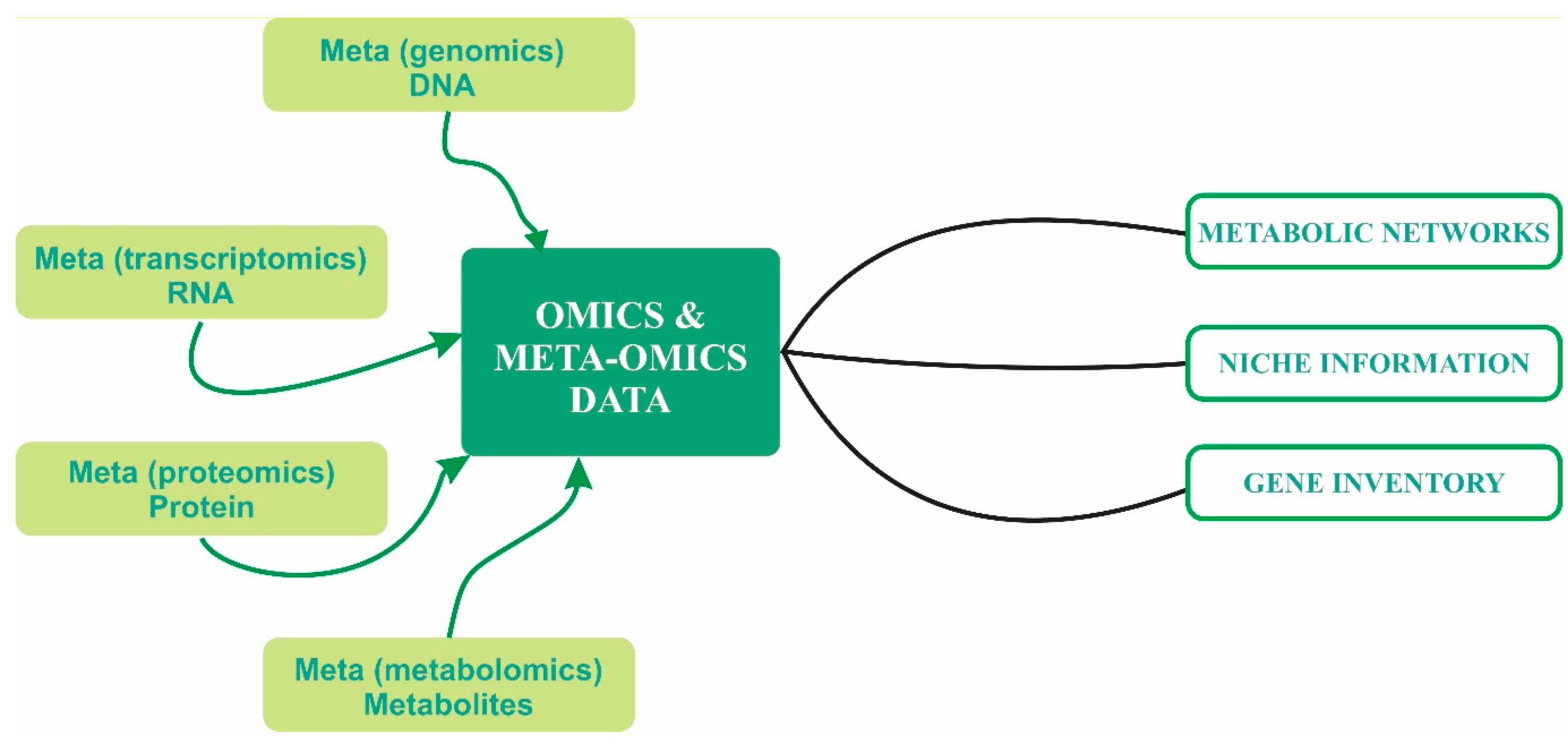 Frontiers Decoding the microbial universe with metagenomics: a brief insight