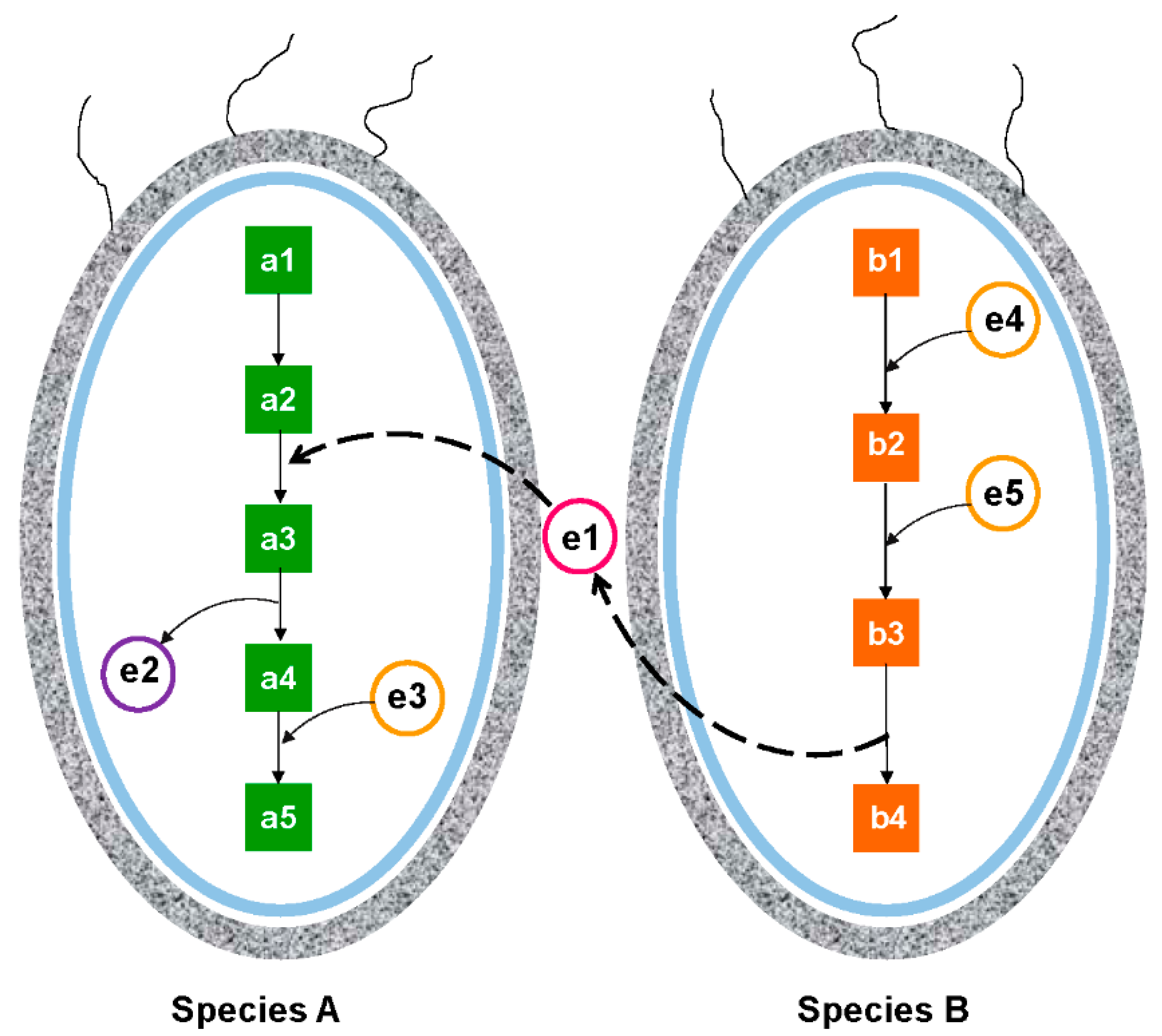 Marinedrugs 20 00108 g004 Marinedrugs 20 00108 g004