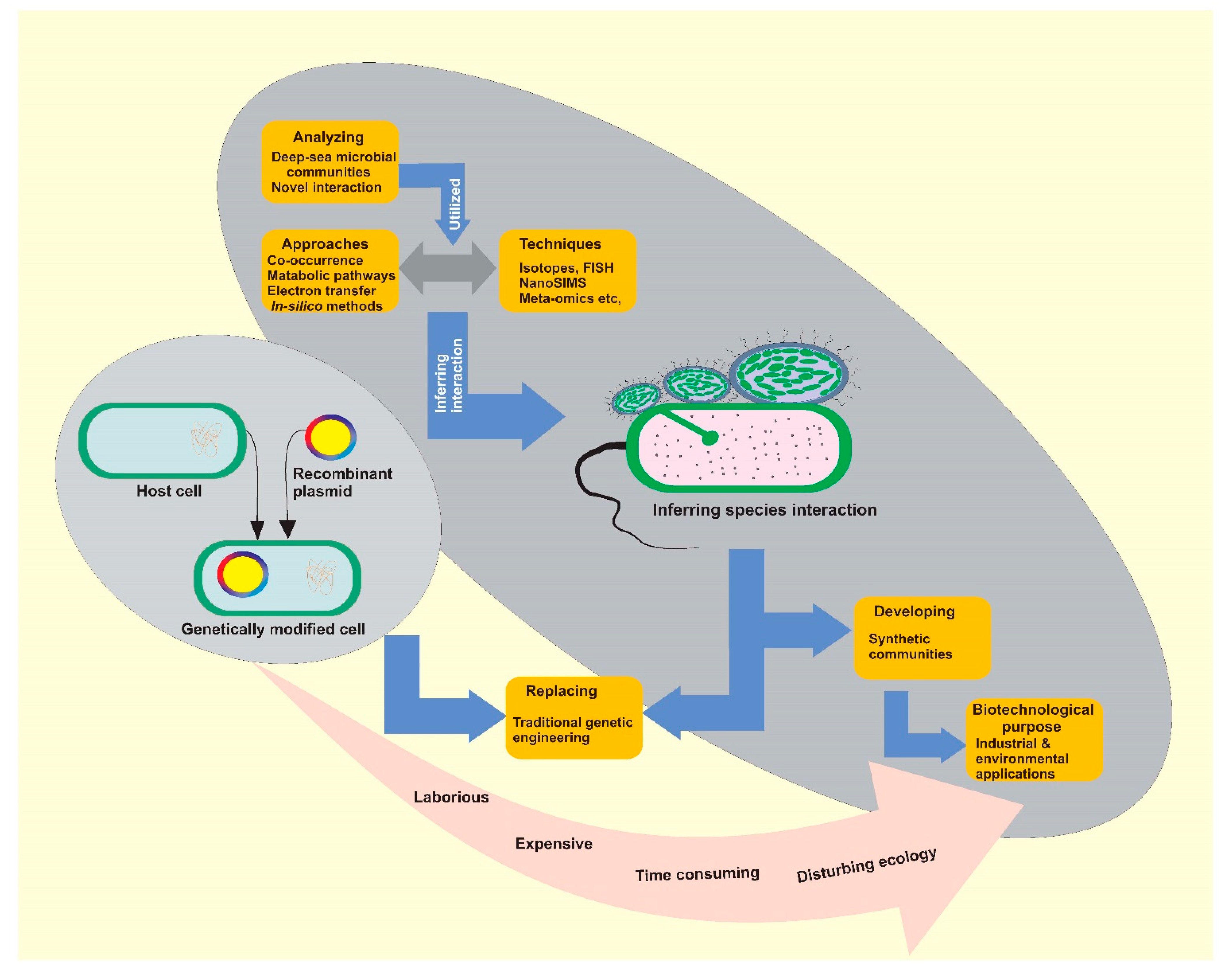 Marinedrugs 20 00108 g005 Marinedrugs 20 00108 g005