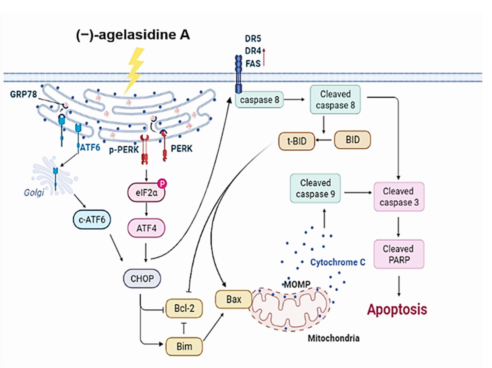 Marinedrugs 20 00109 g009 550