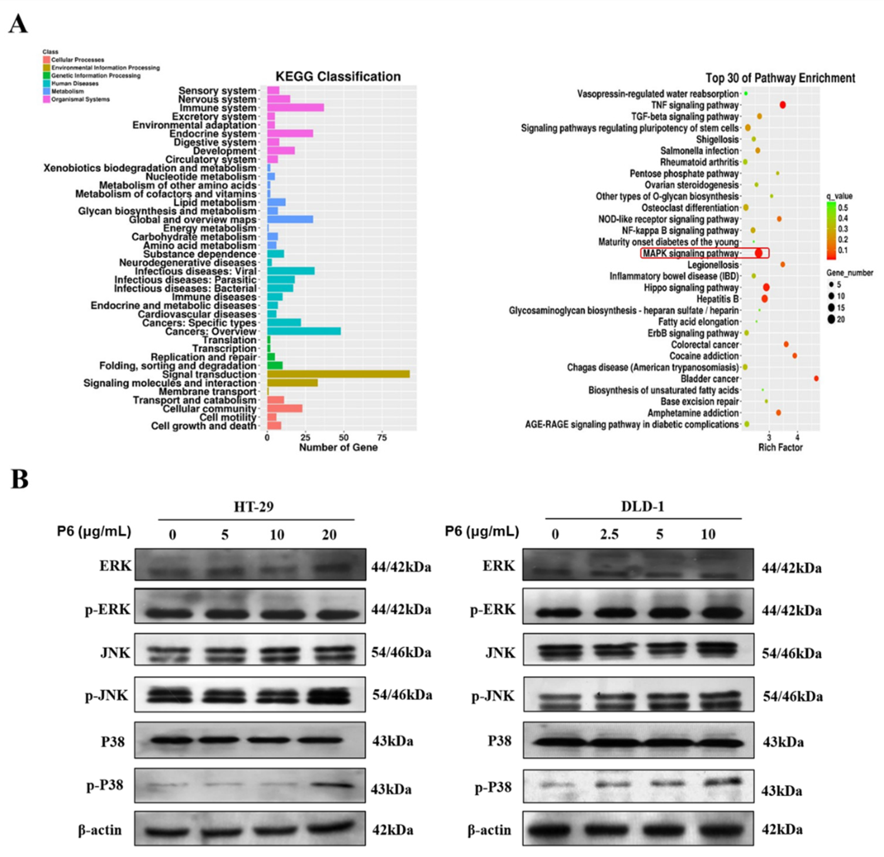 Marinedrugs 20 00110 g006 550