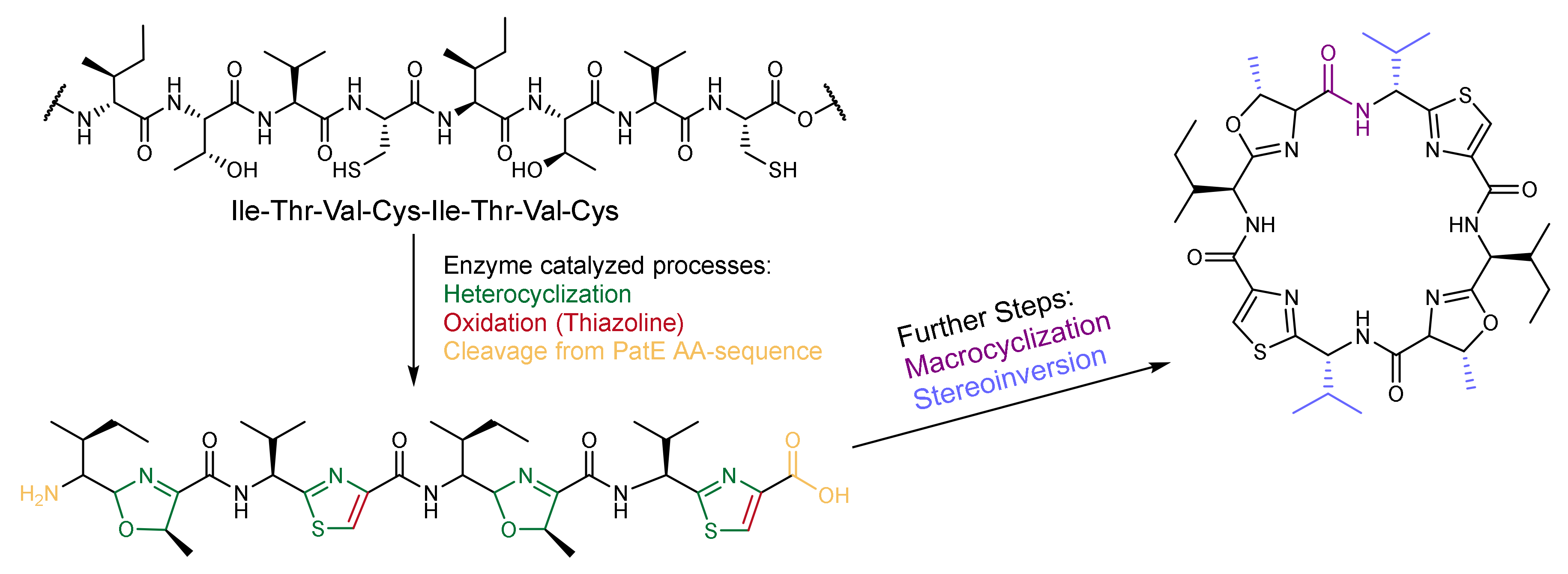 Marinedrugs 20 00119 g004