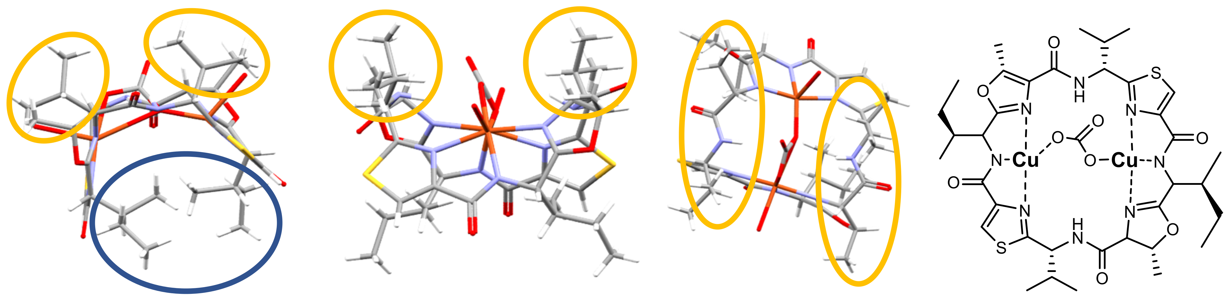 Marinedrugs 20 00119 g006