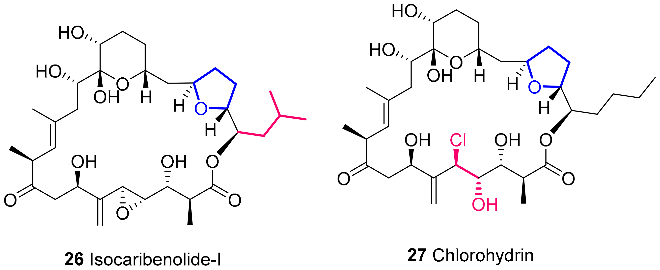 Marinedrugs 20 00120 g006 Marinedrugs 20 00120 g006