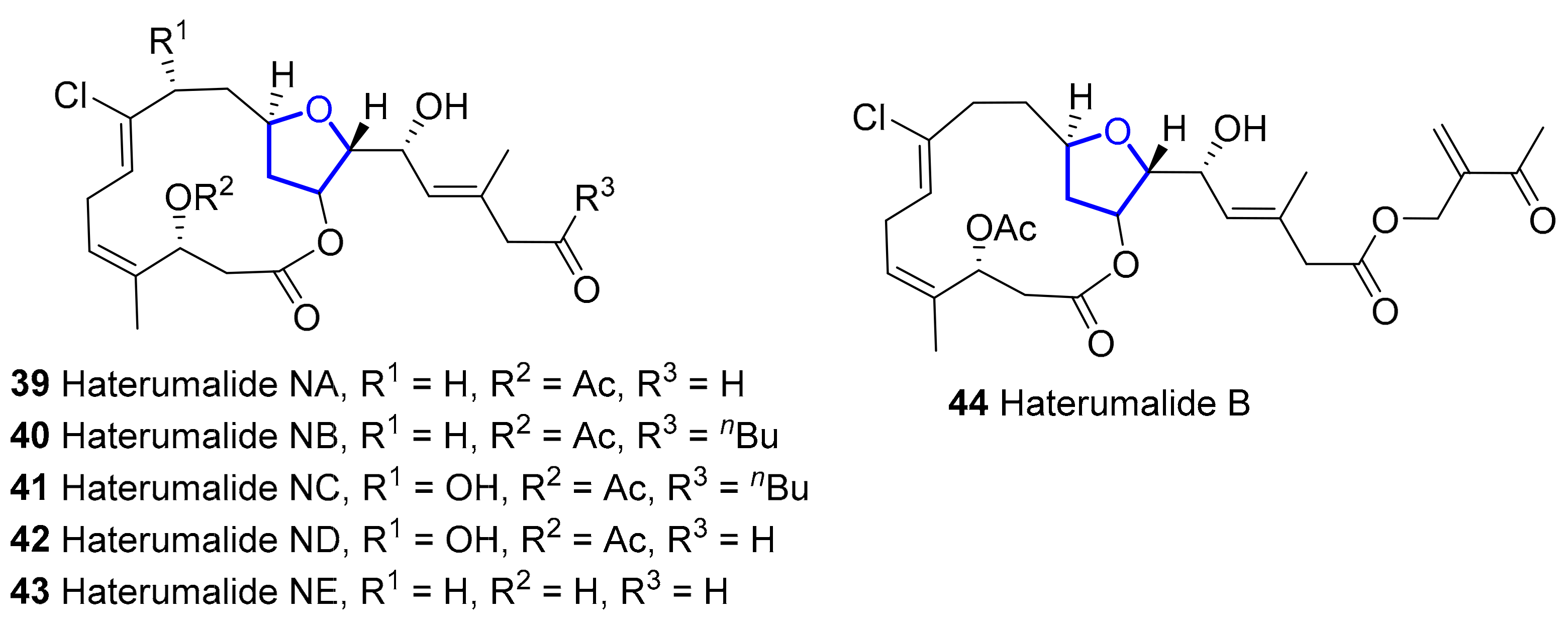 Marinedrugs 20 00120 g008 Marinedrugs 20 00120 g008
