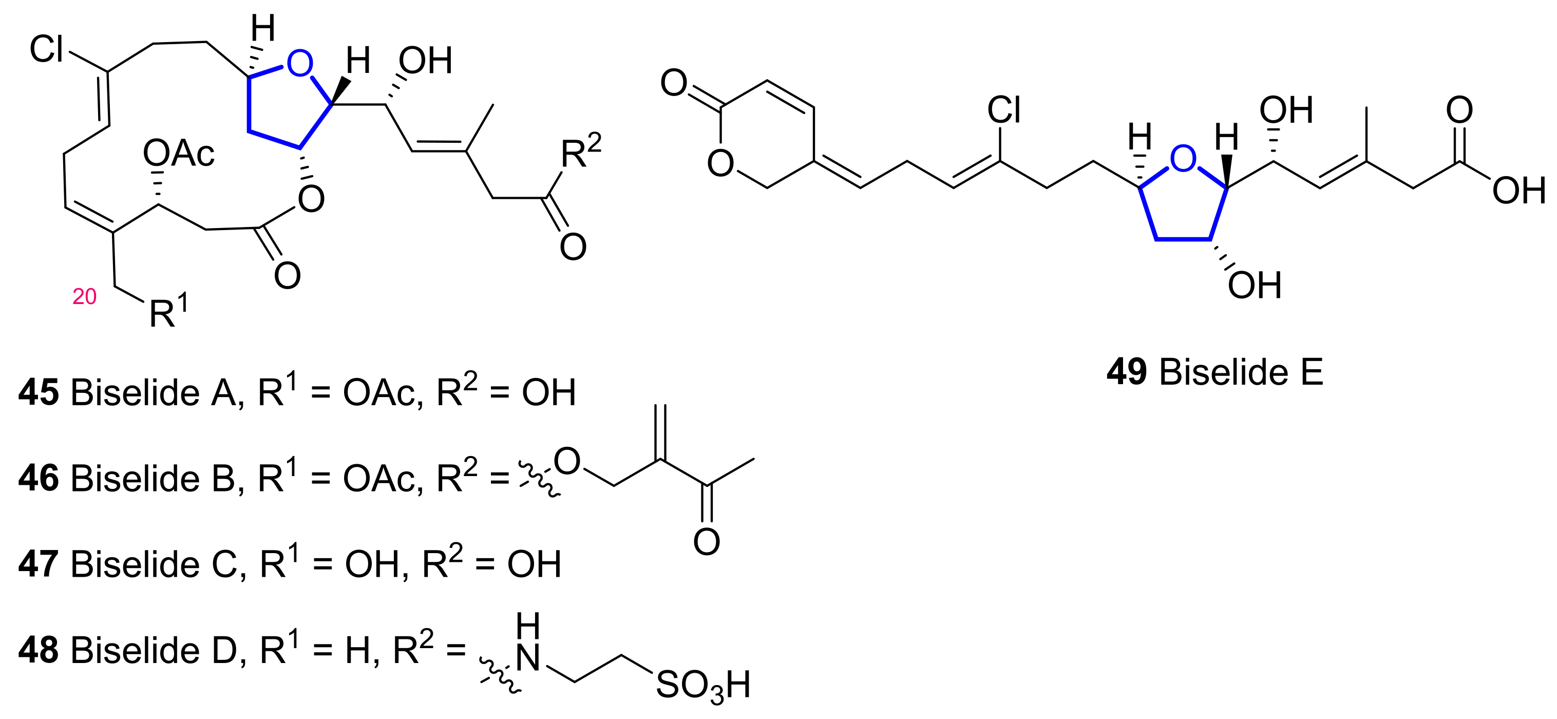 Marinedrugs 20 00120 g009 Marinedrugs 20 00120 g009