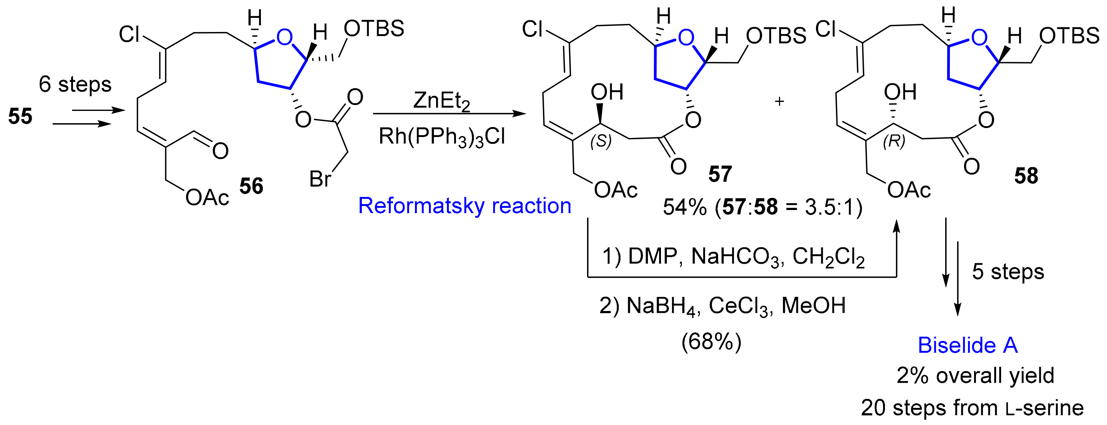 Marinedrugs 20 00120 sch010 Marinedrugs 20 00120 sch010