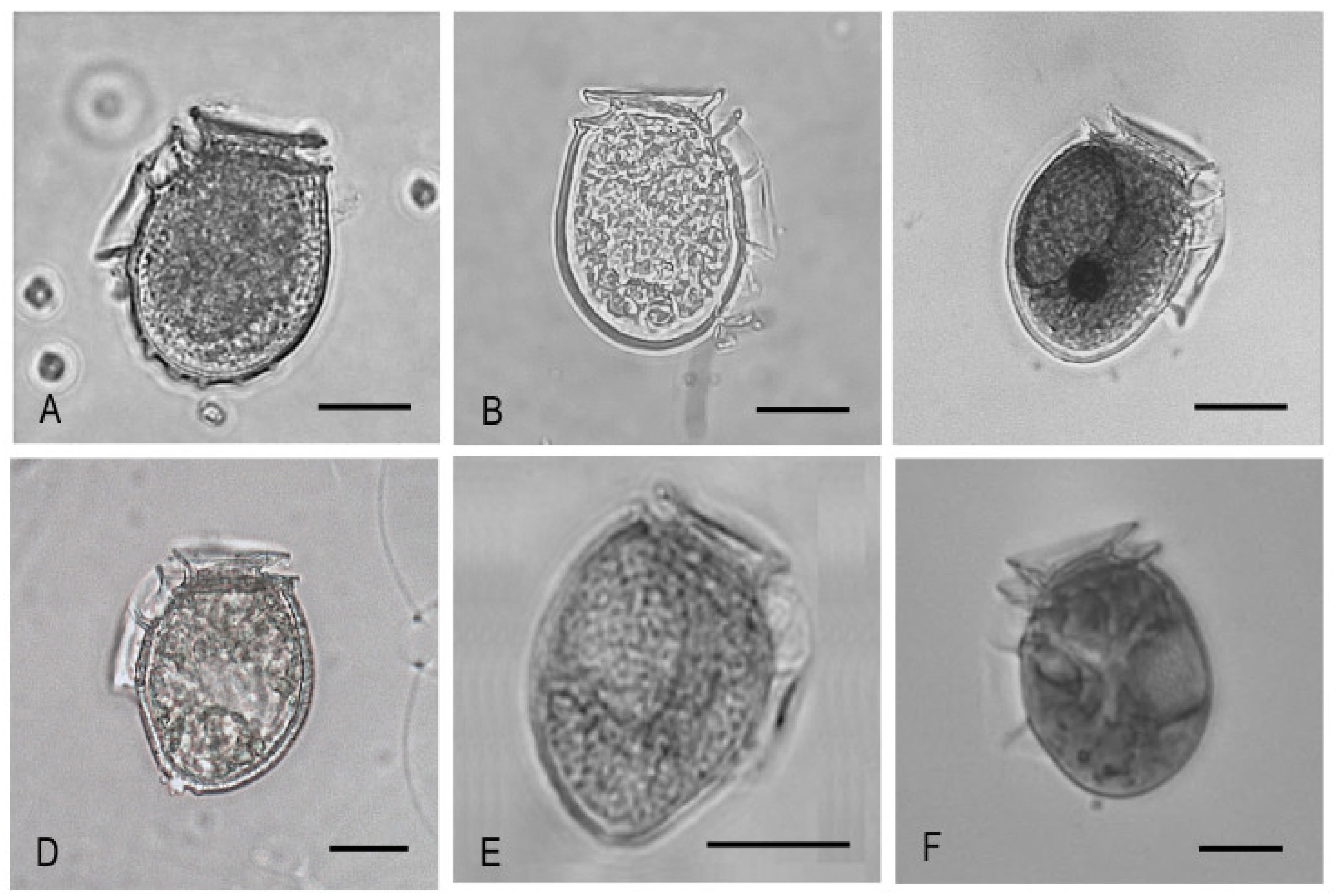 Marinedrugs 20 00122 g007