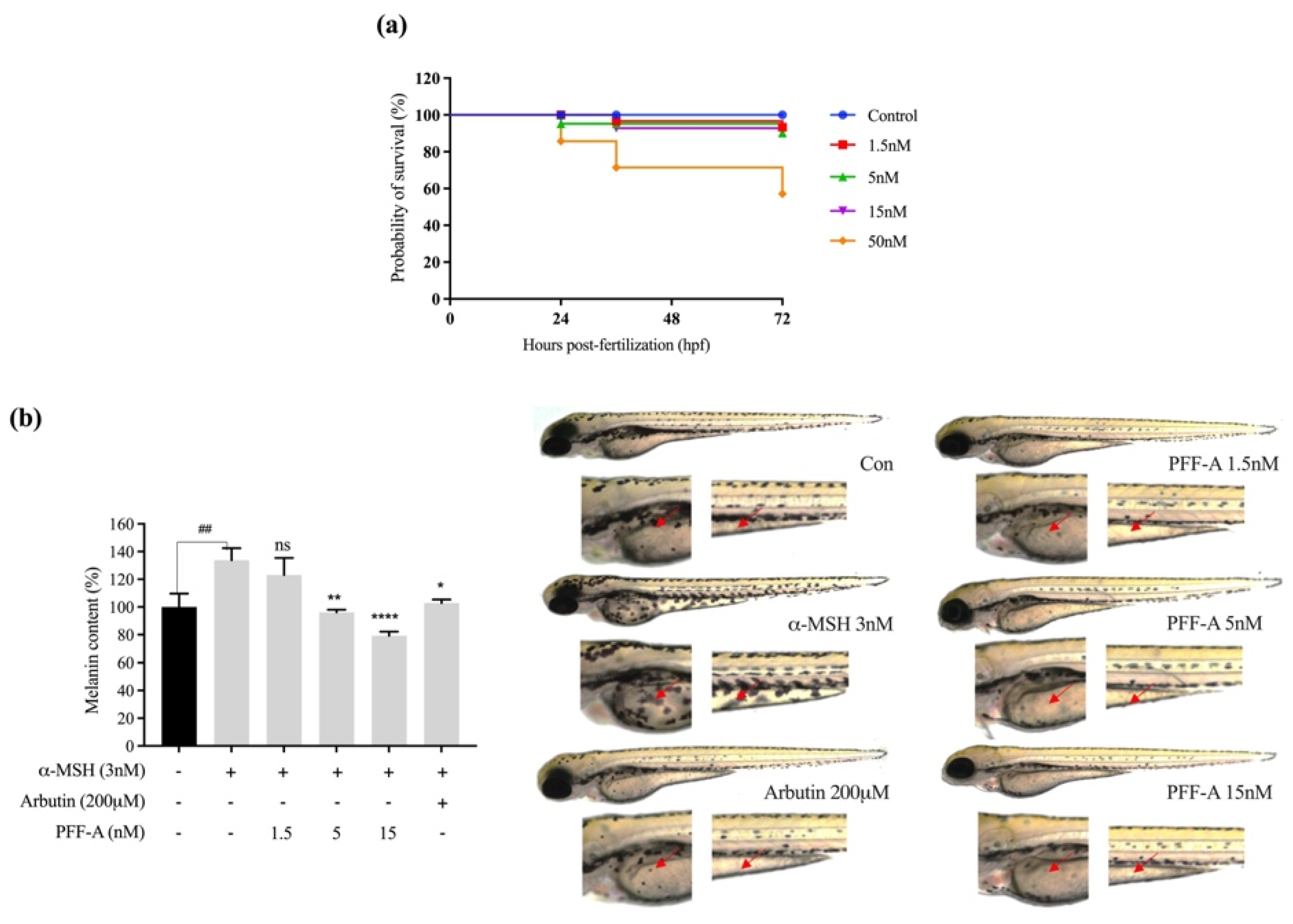 Marinedrugs 20 00123 g001