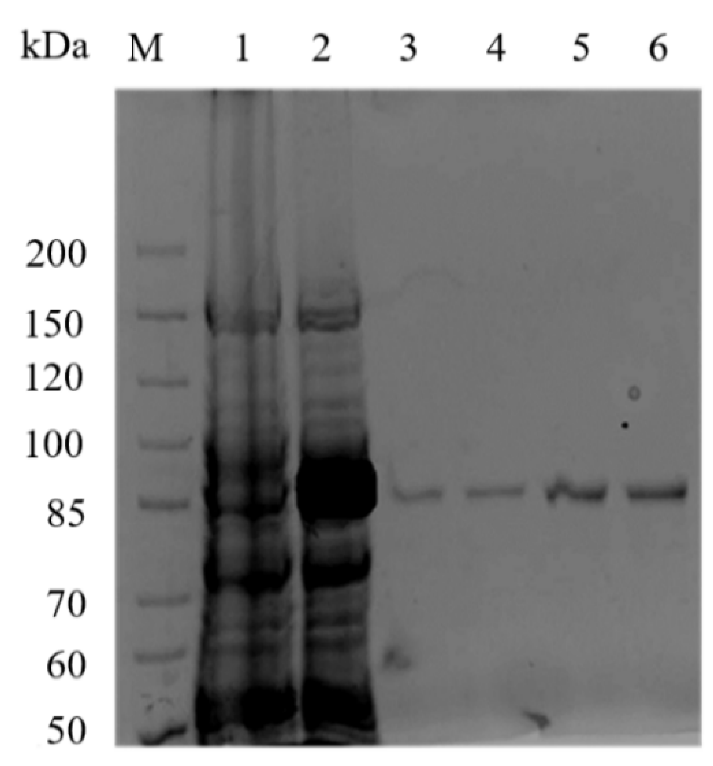 Marinedrugs 20 00126 g003