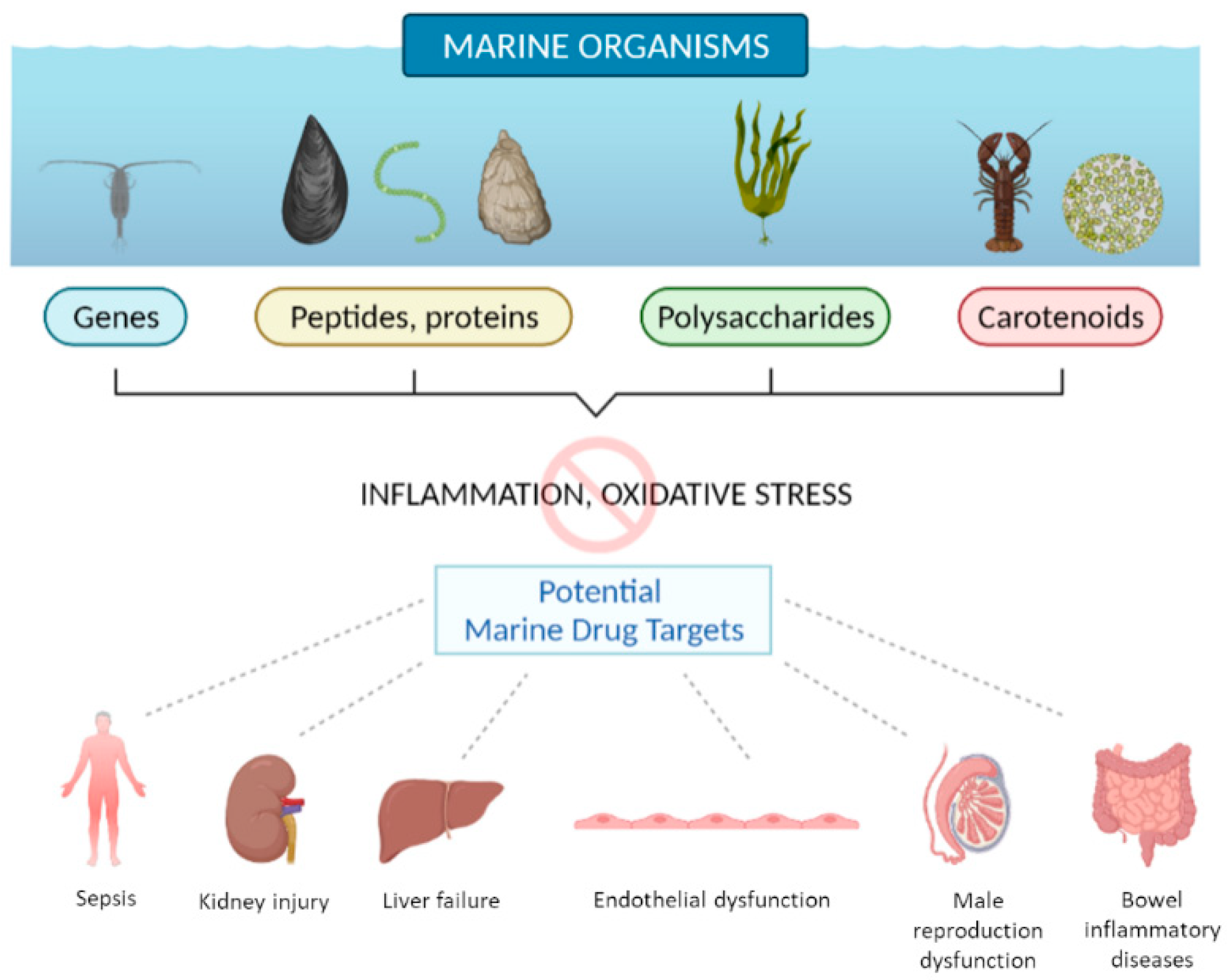 Marinedrugs 20 00132 g001 550