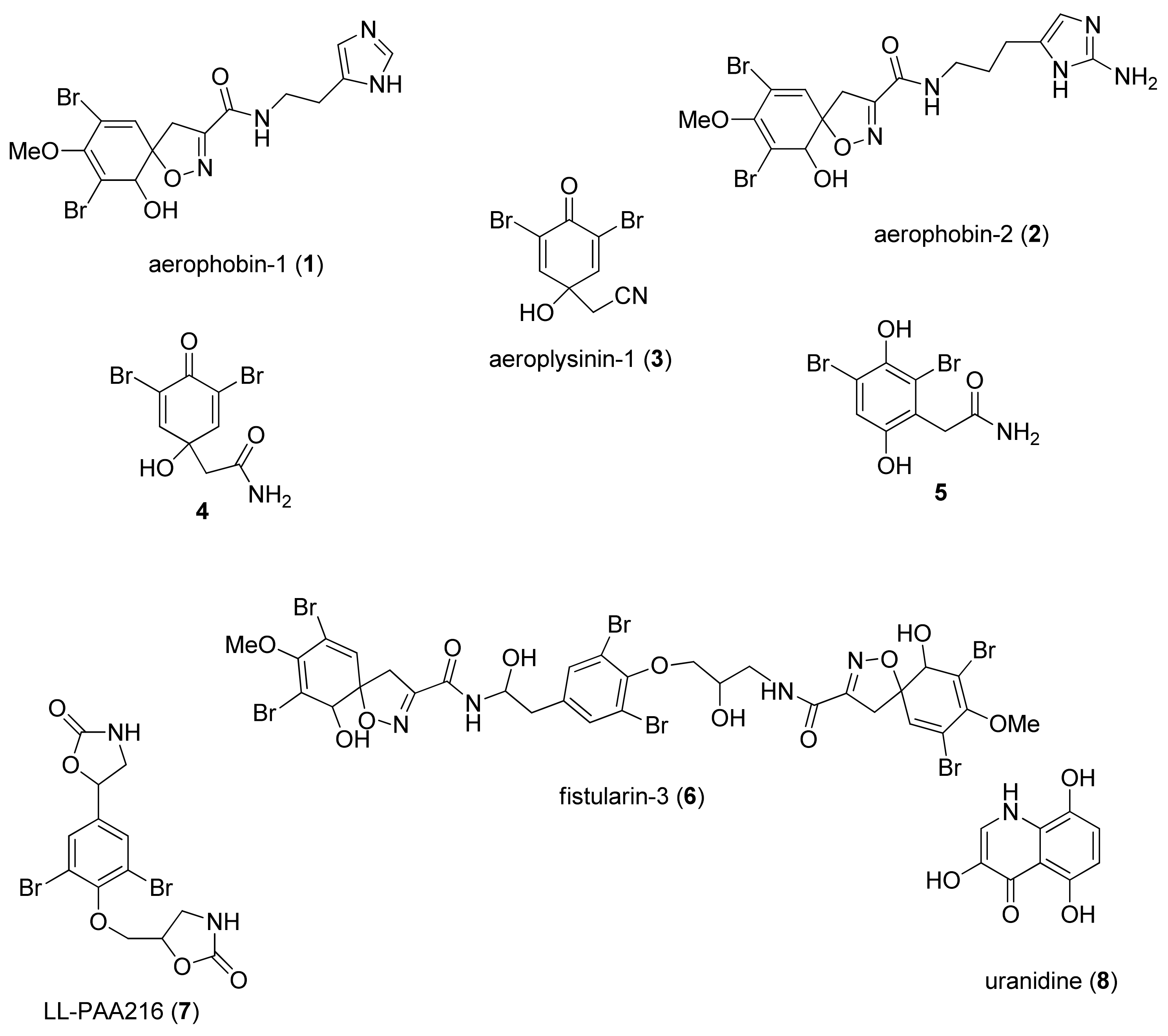 Marinedrugs 20 00135 g002 Marinedrugs 20 00135 g002