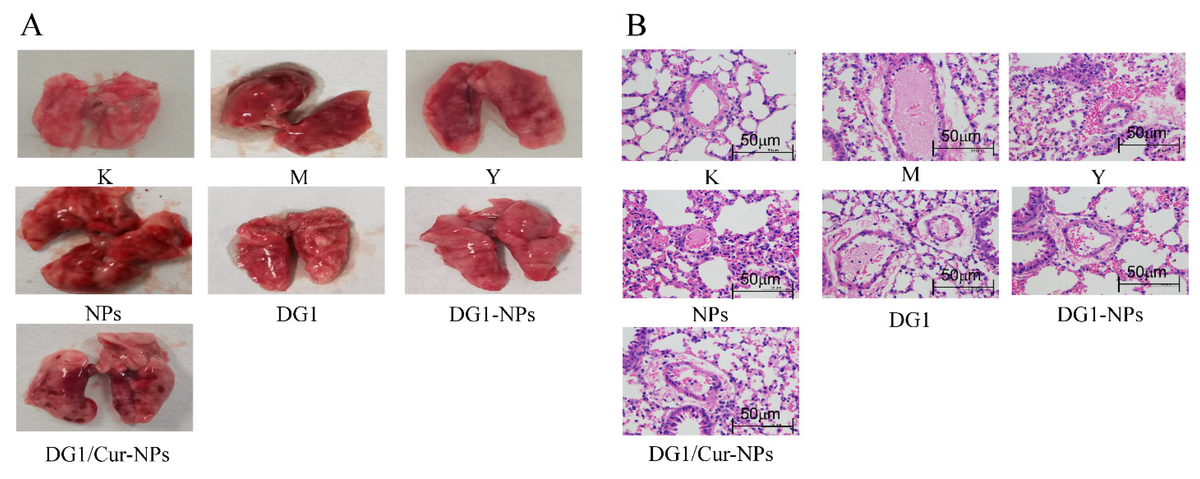 Marinedrugs 20 00136 g004