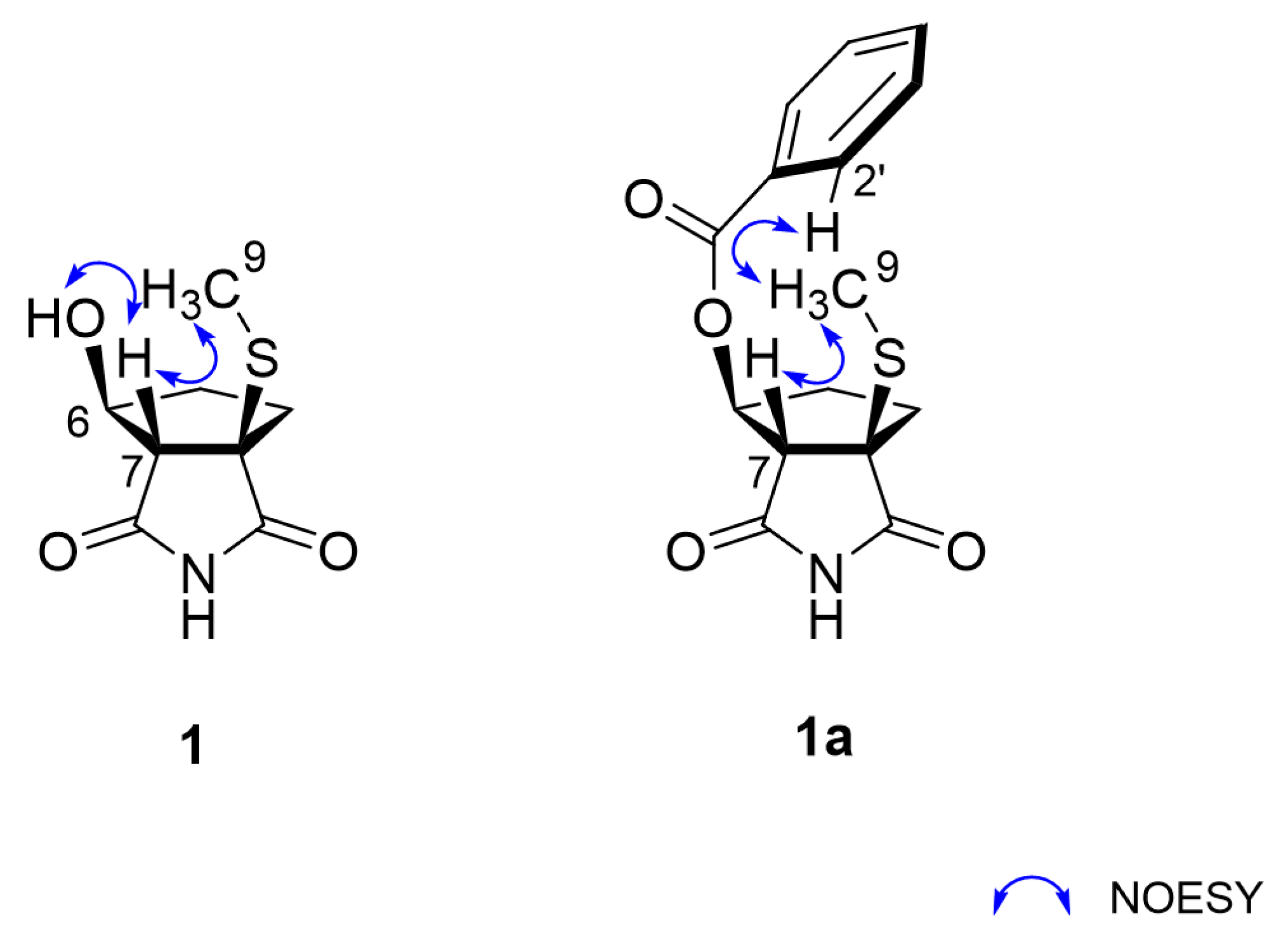 Marinedrugs 20 00138 g003 550