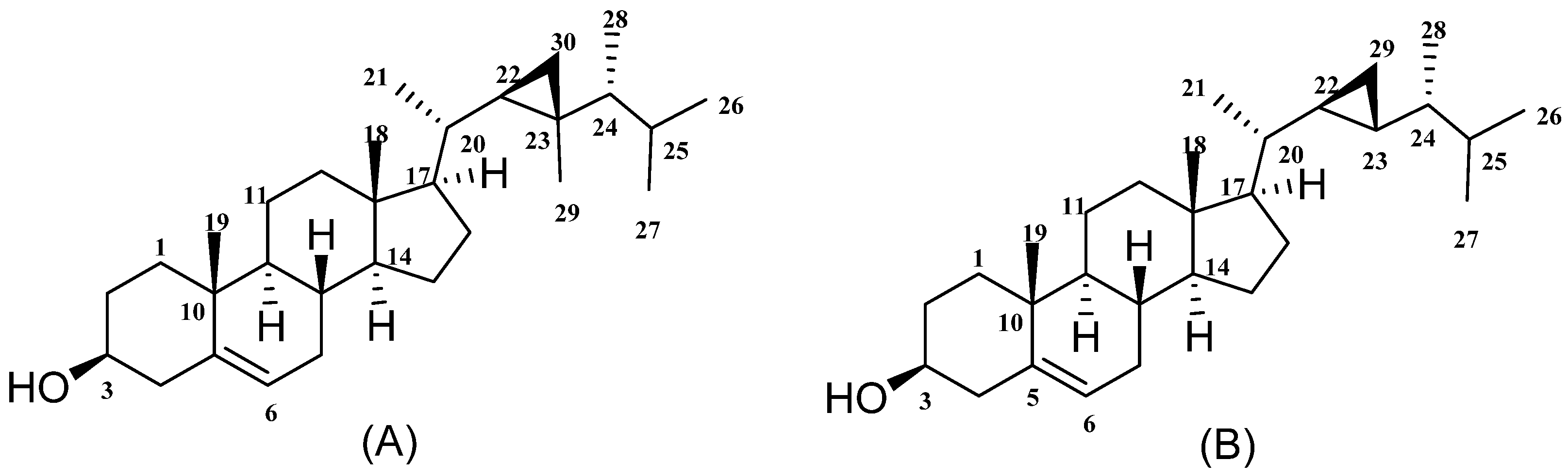 Marinedrugs 20 00139 g001