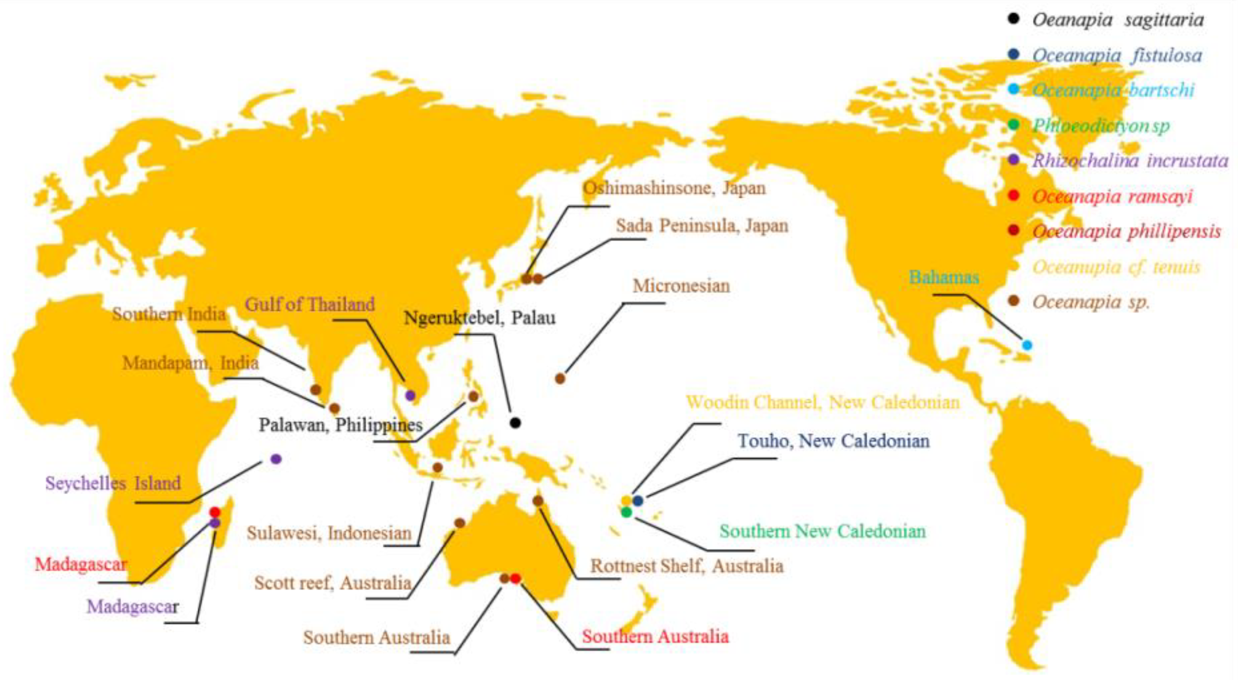 Marinedrugs 20 00144 g001