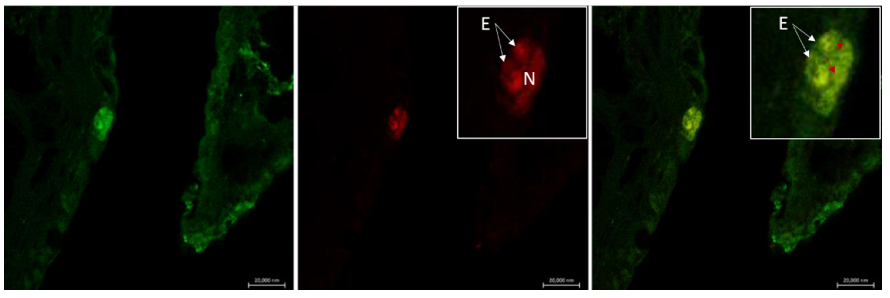 Marinedrugs 20 00145 g009