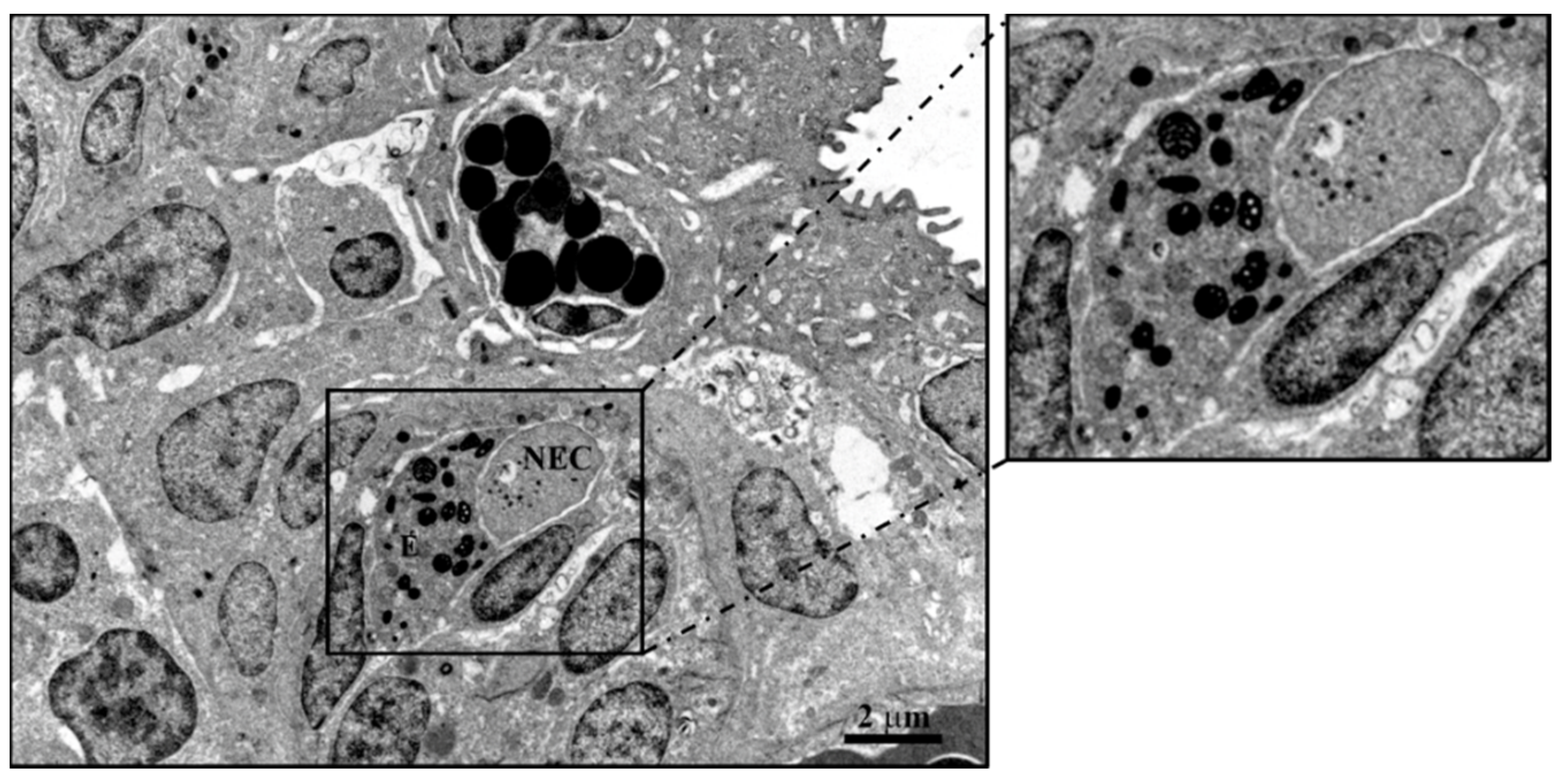 Marinedrugs 20 00145 g015