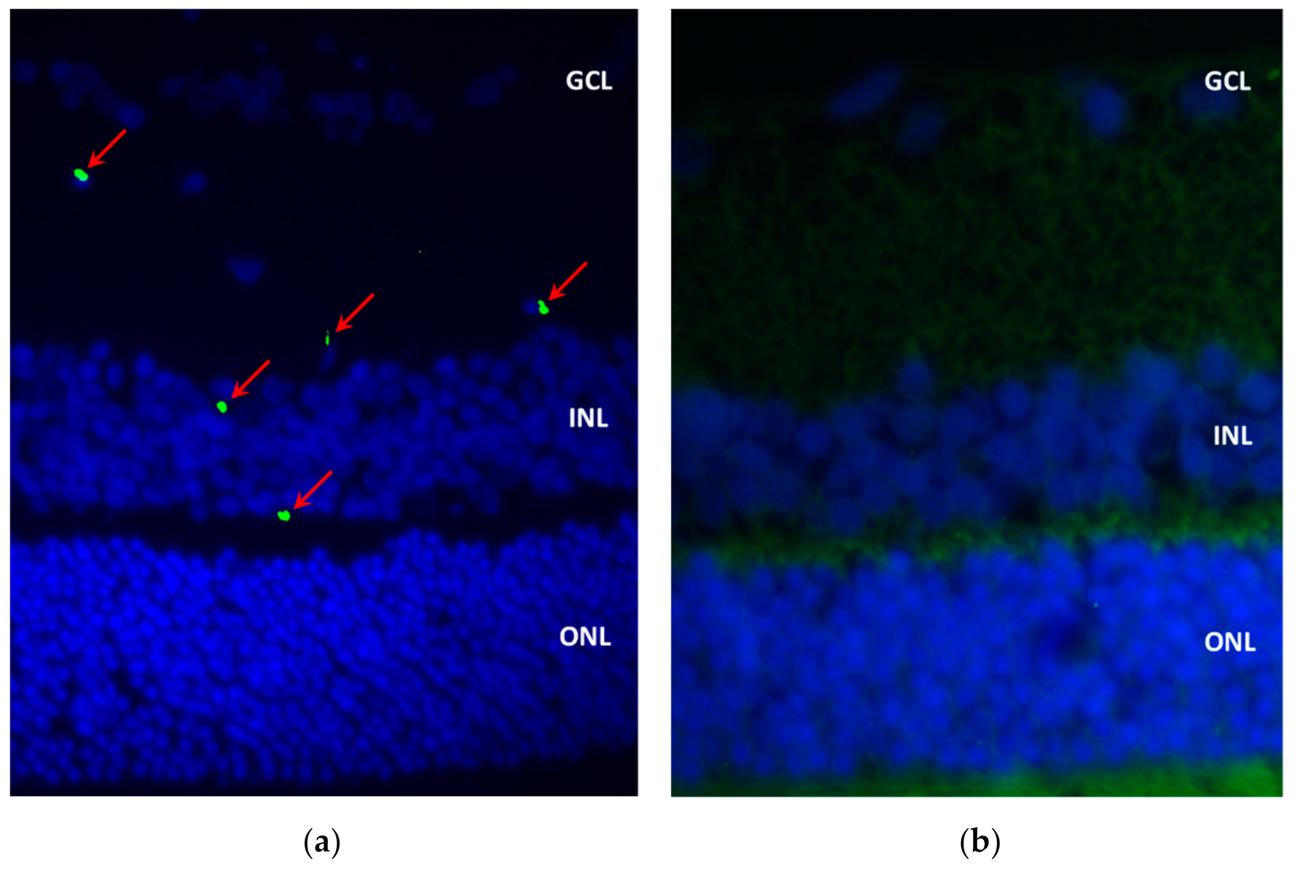Marinedrugs 20 00151 g008a 550