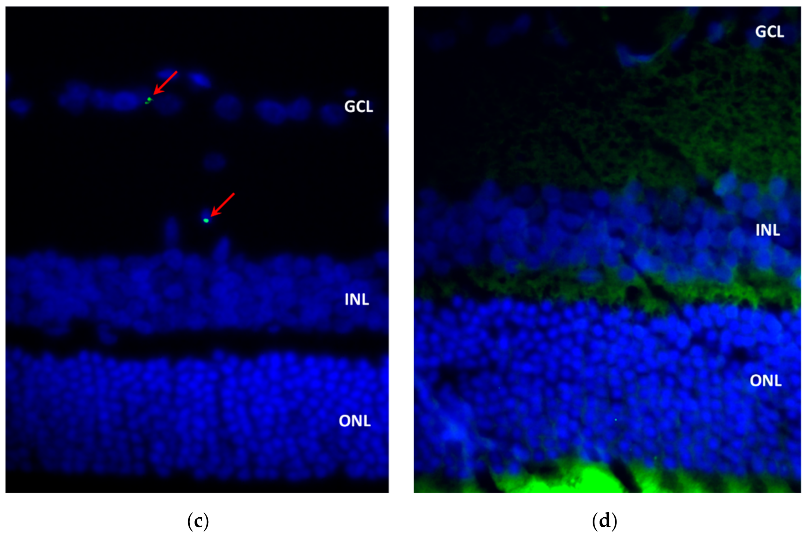 Marinedrugs 20 00151 g008b 550