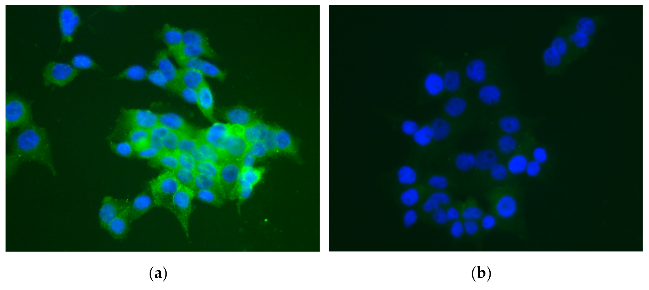 Marinedrugs 20 00151 g009 550