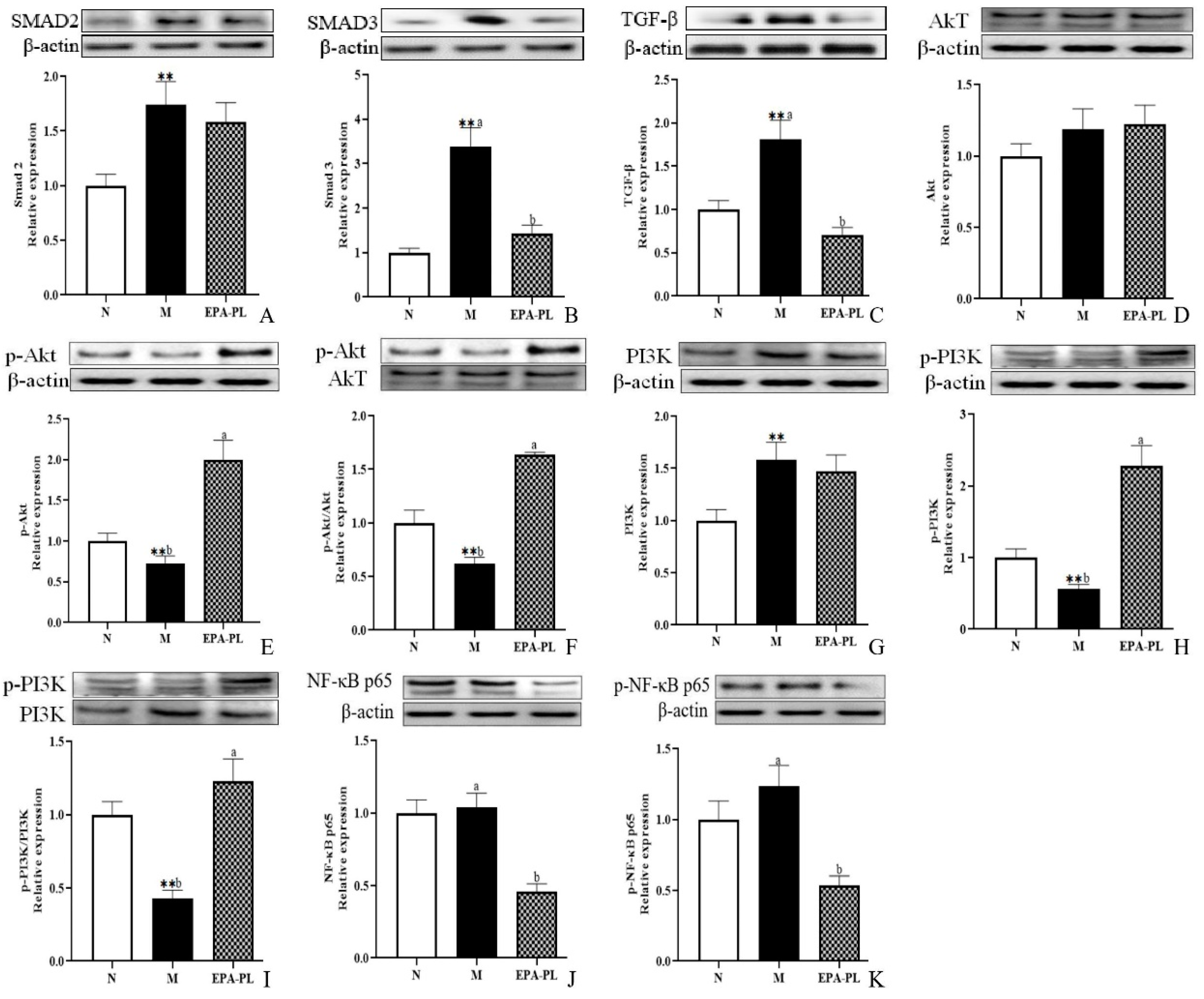 Marinedrugs 20 00152 g004