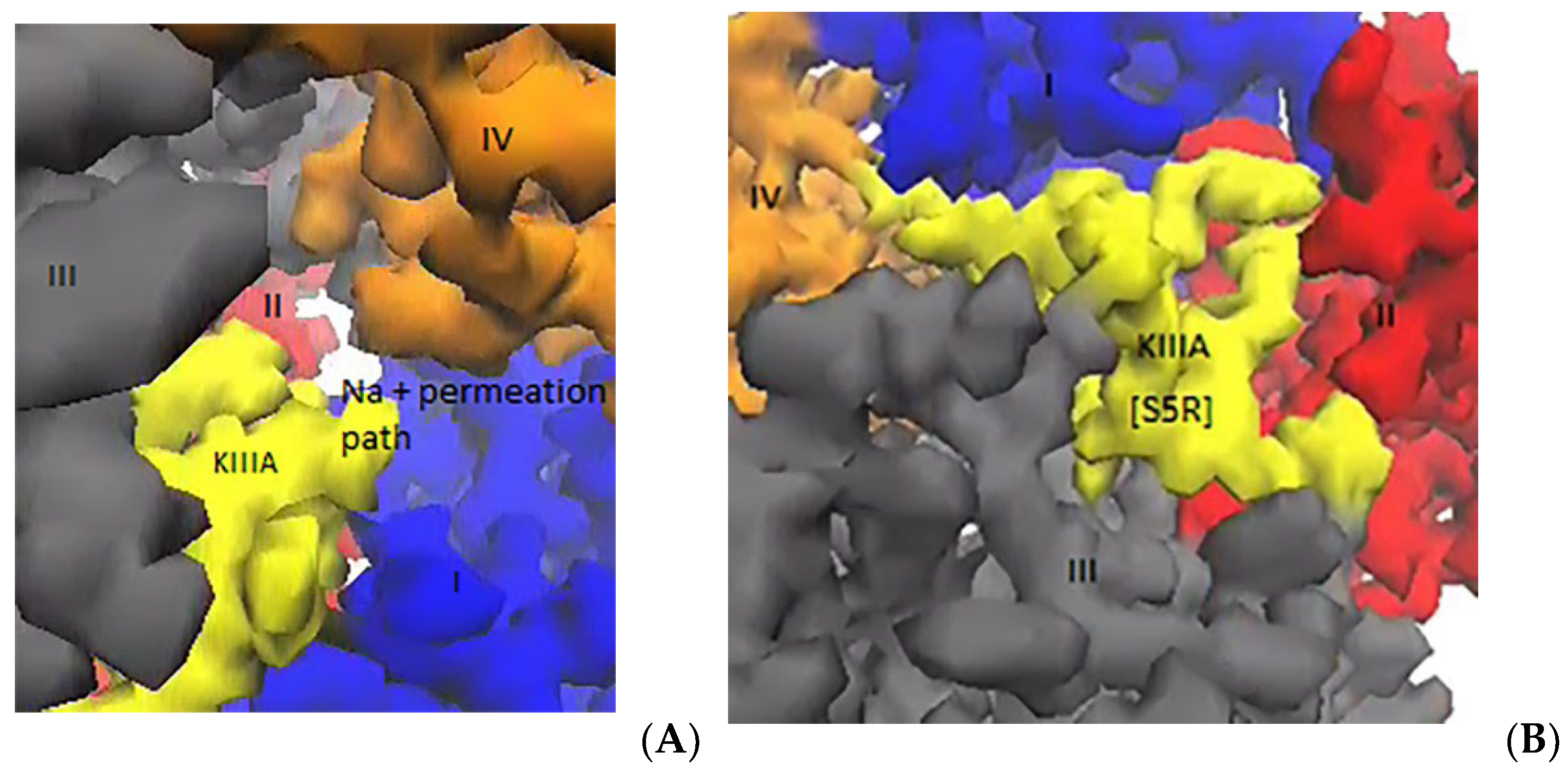 Marinedrugs 20 00154 g007 550