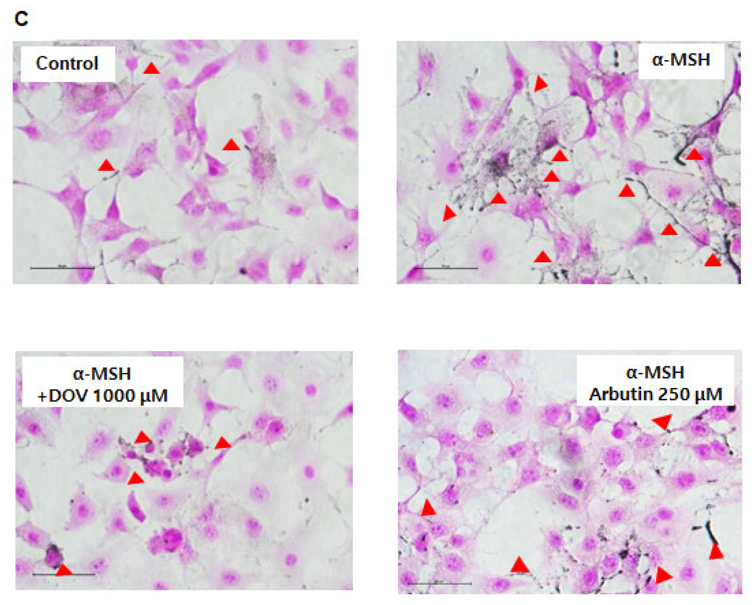 Marinedrugs 20 00155 g002b
