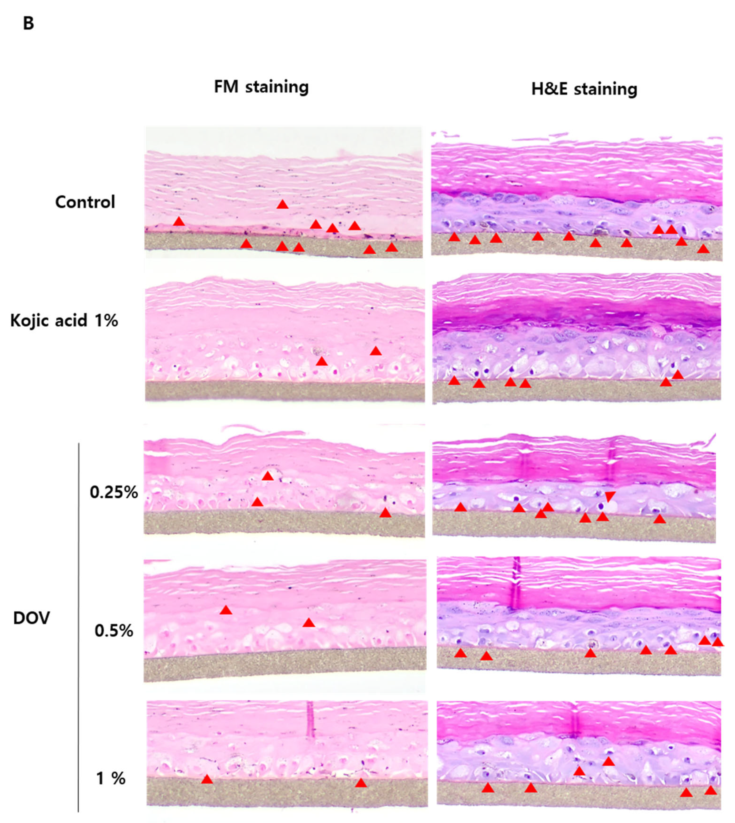 Marinedrugs 20 00155 g007b