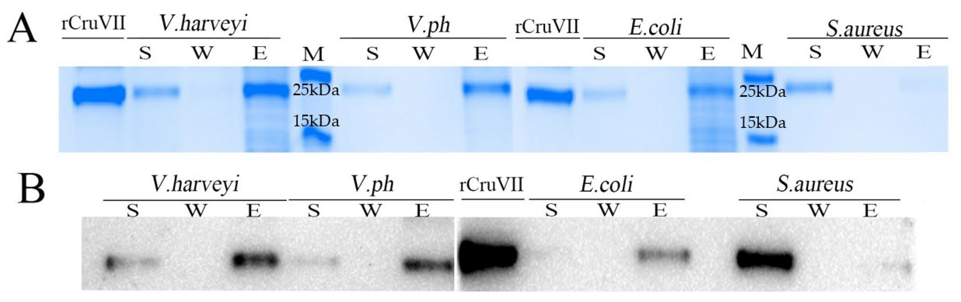 Marinedrugs 20 00157 g003