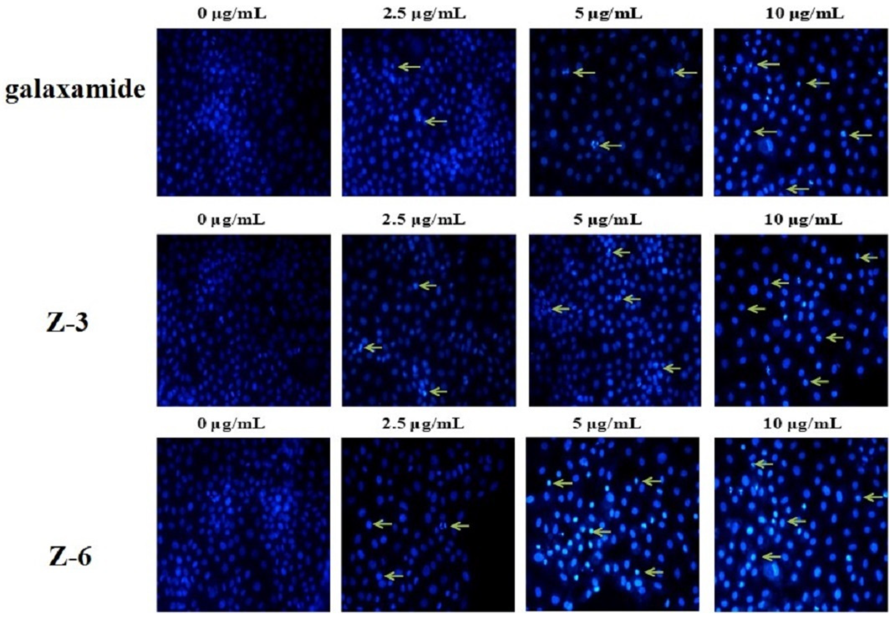 Marinedrugs 20 00158 g005