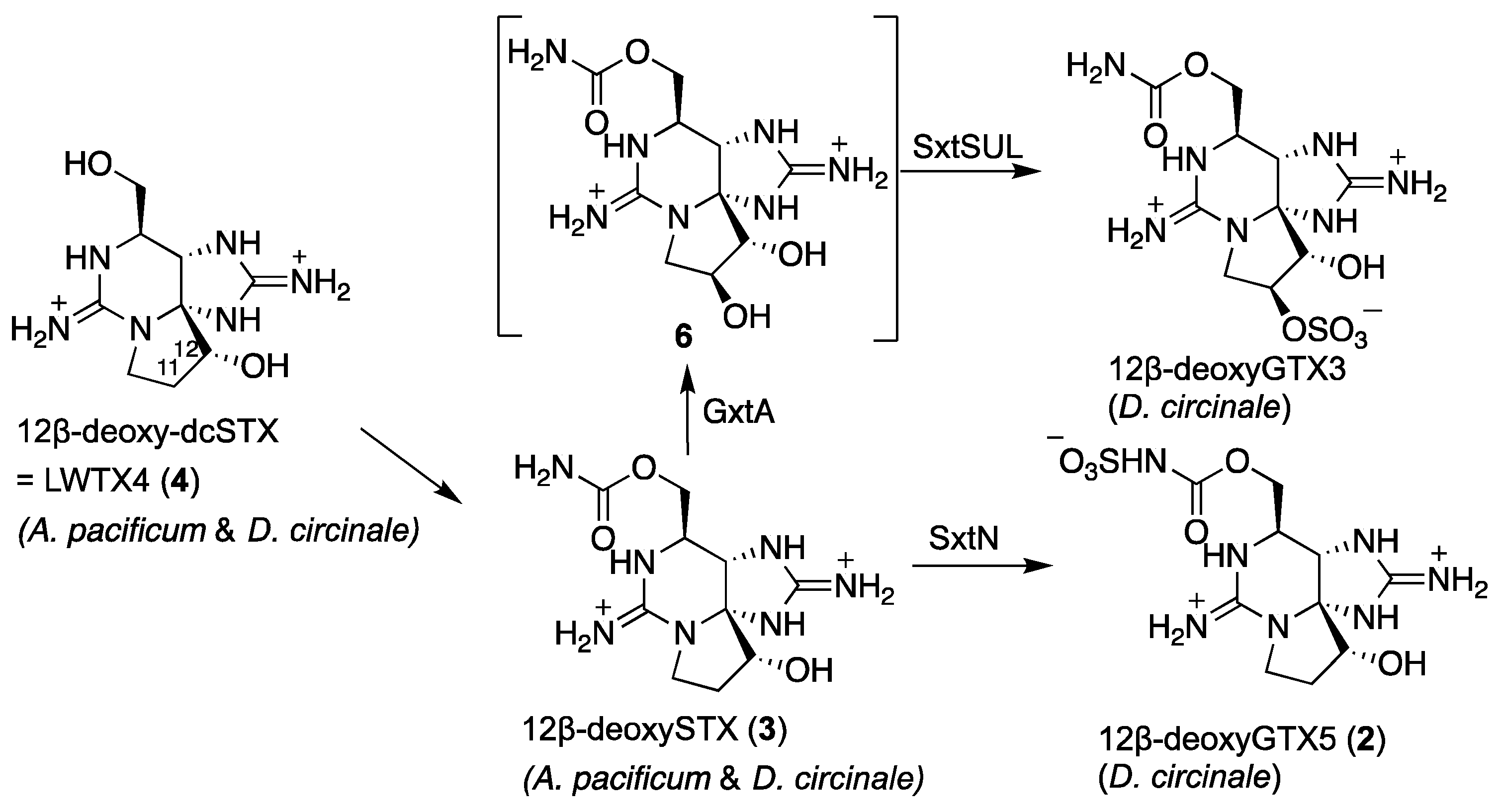 Marinedrugs 20 00166 g009 550
