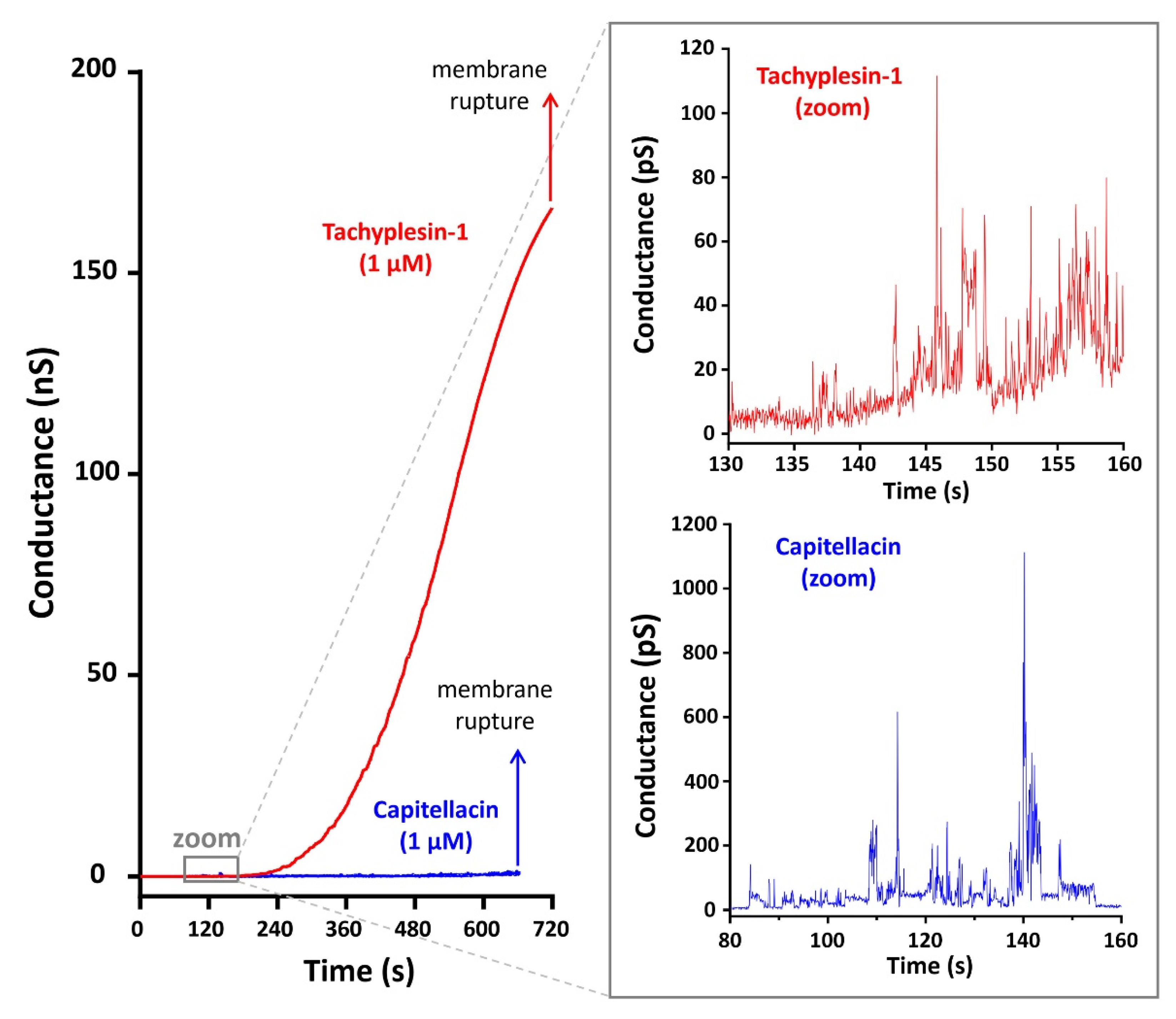 Marinedrugs 20 00167 g004