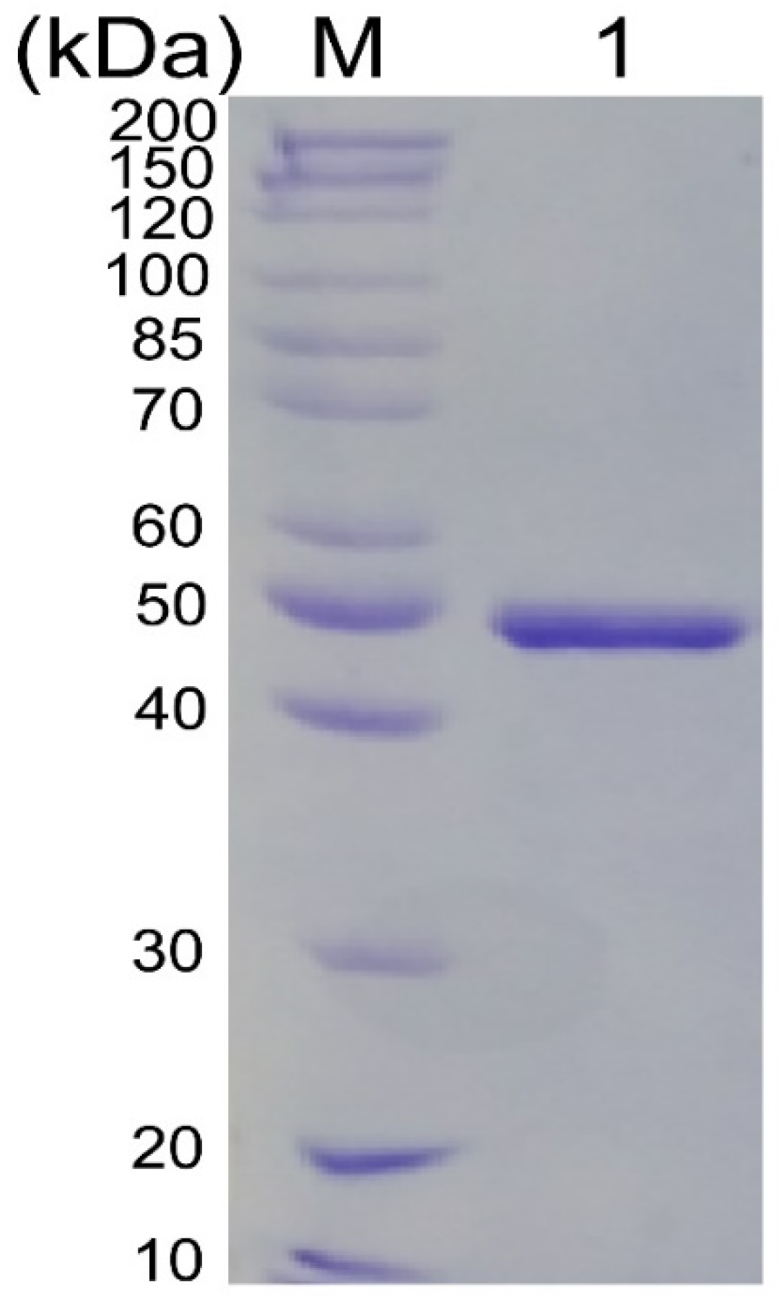 Marinedrugs 20 00168 g003